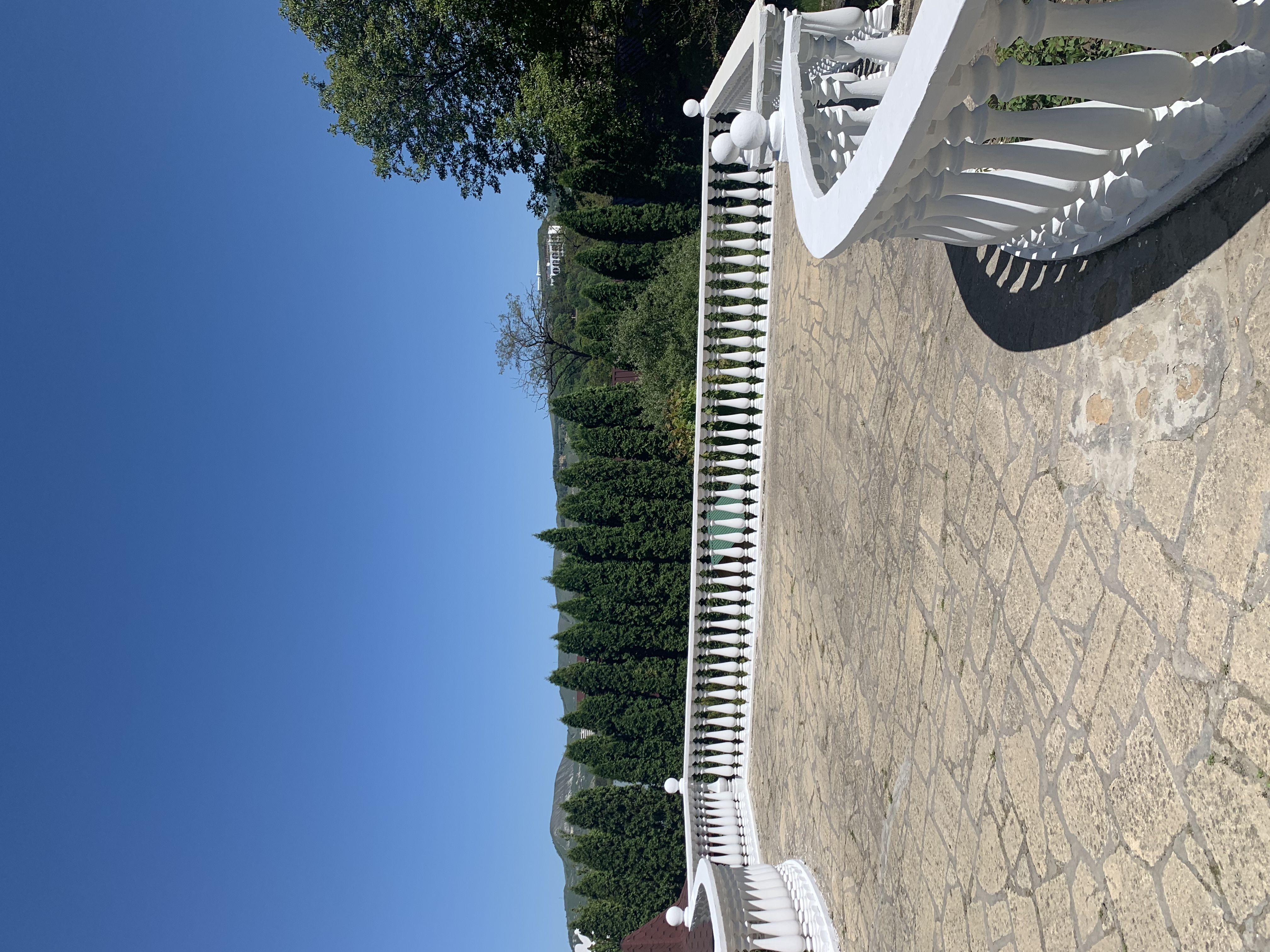 Фото Ласточка