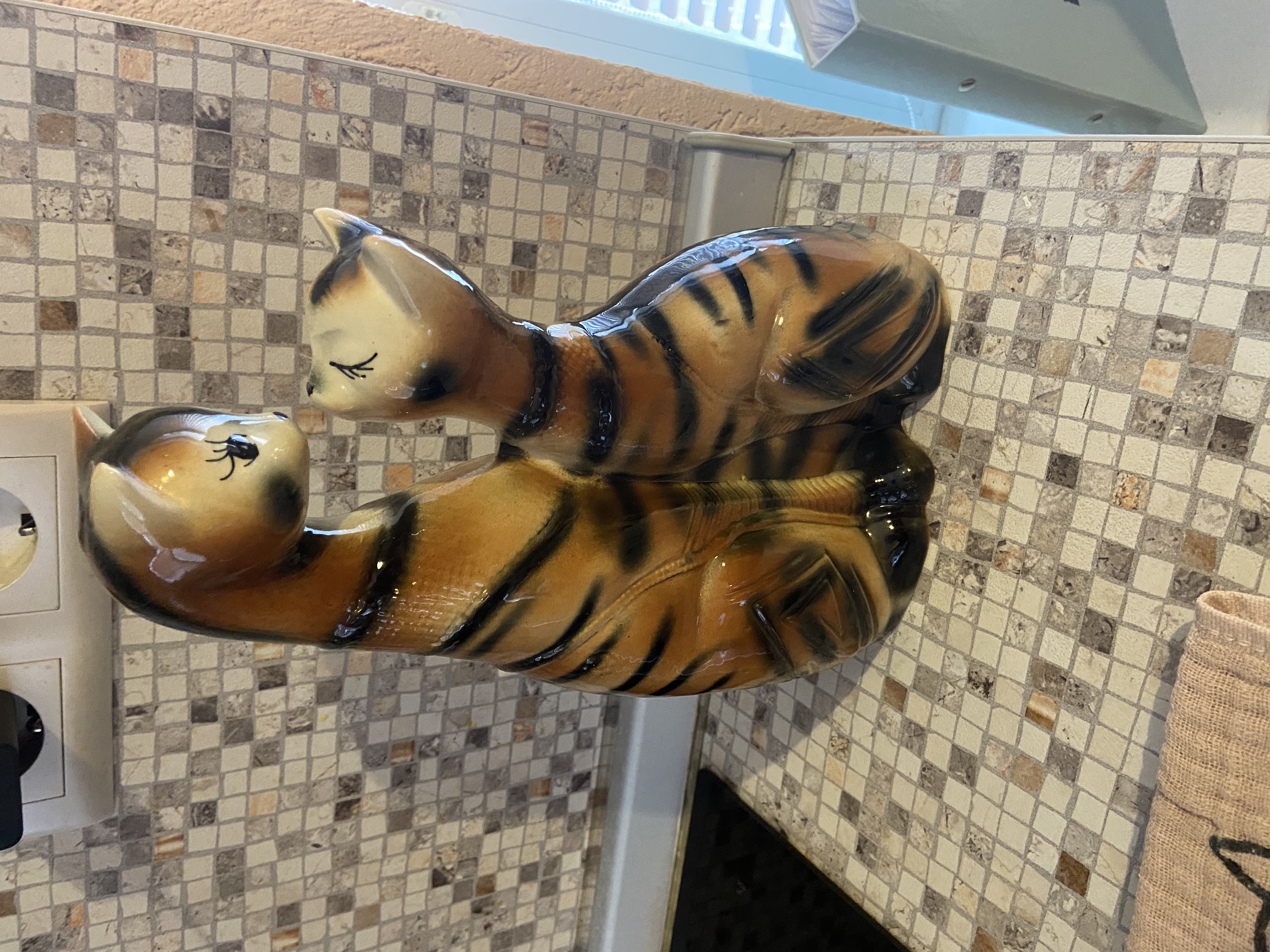 Фото Кот и кошка