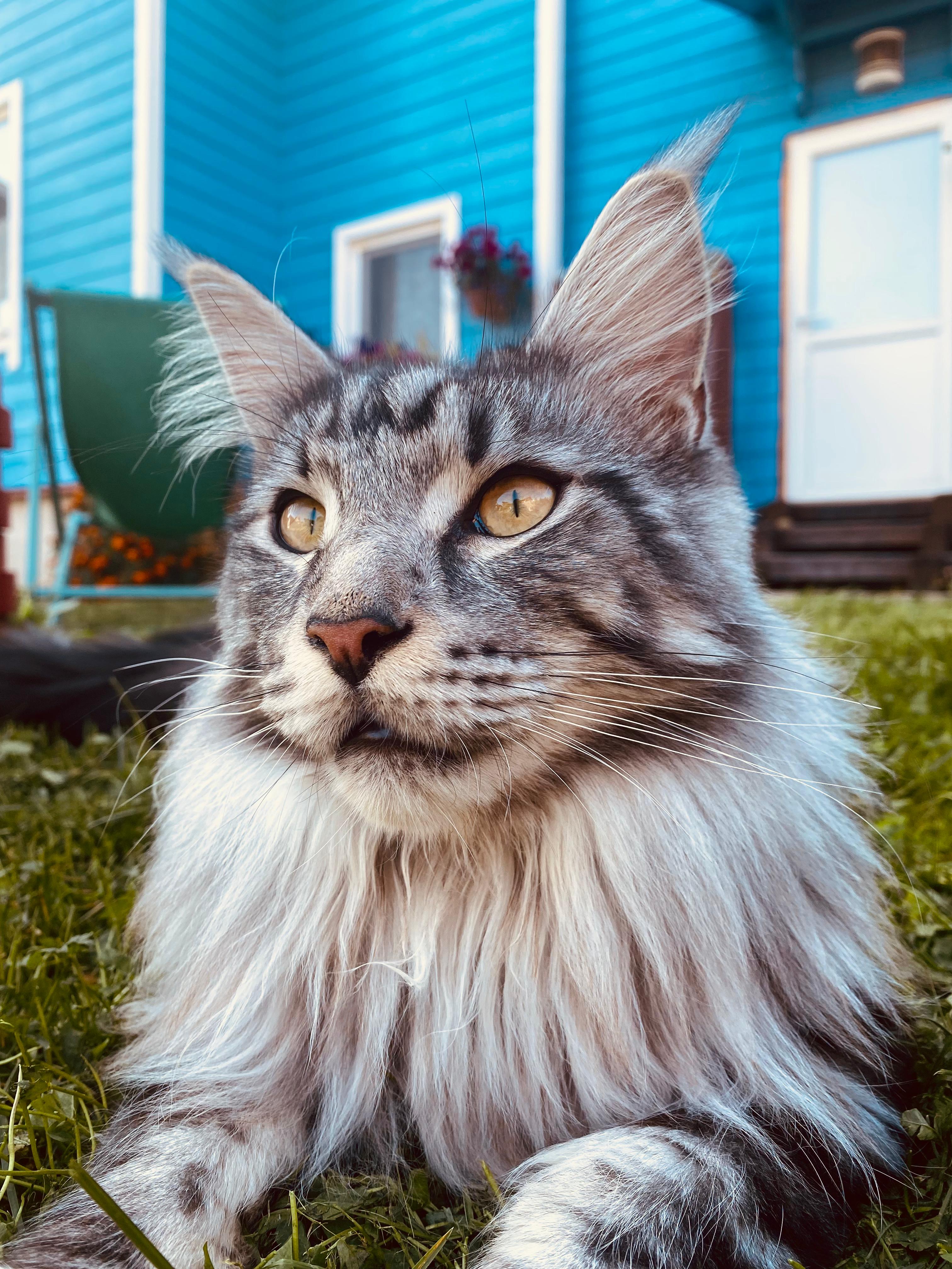 Фото Витальница