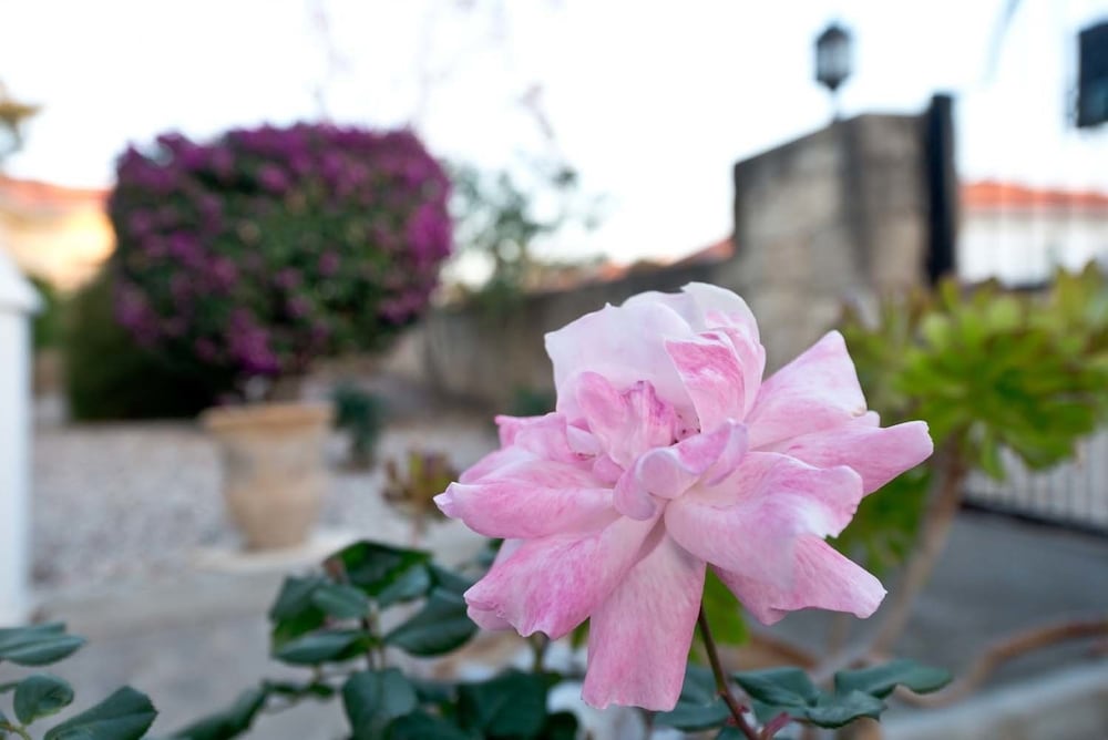 Фото Apartment Mint by Amy Villas