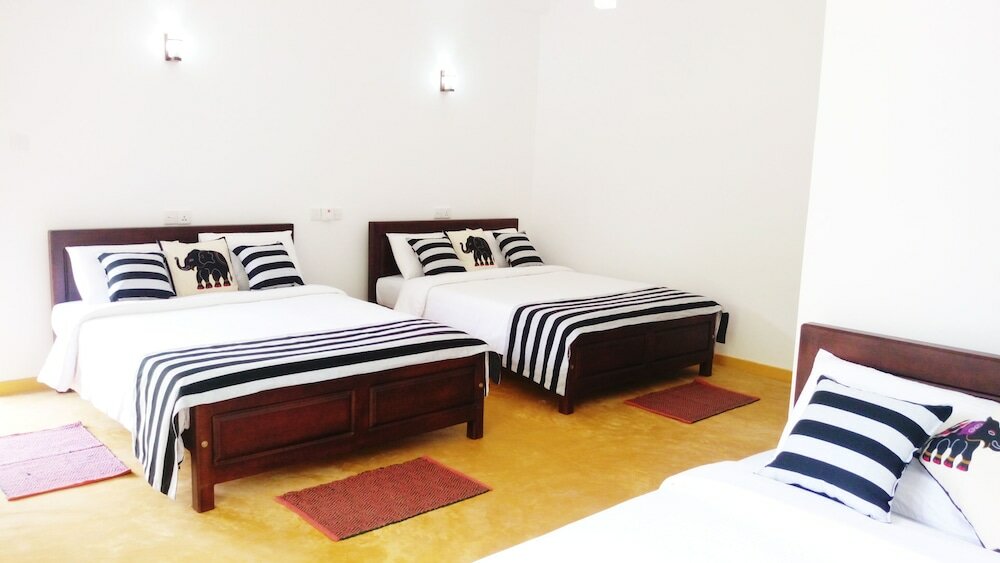 Фото Misty Elegance Ella