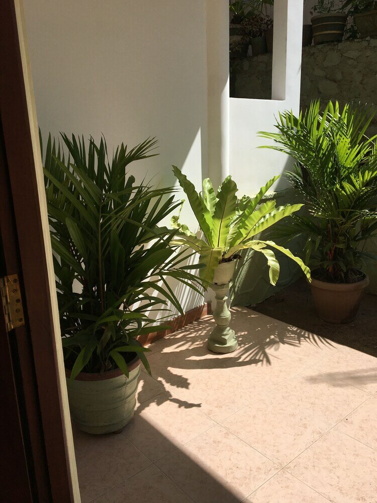 Фото Kandy Home Stay Villa