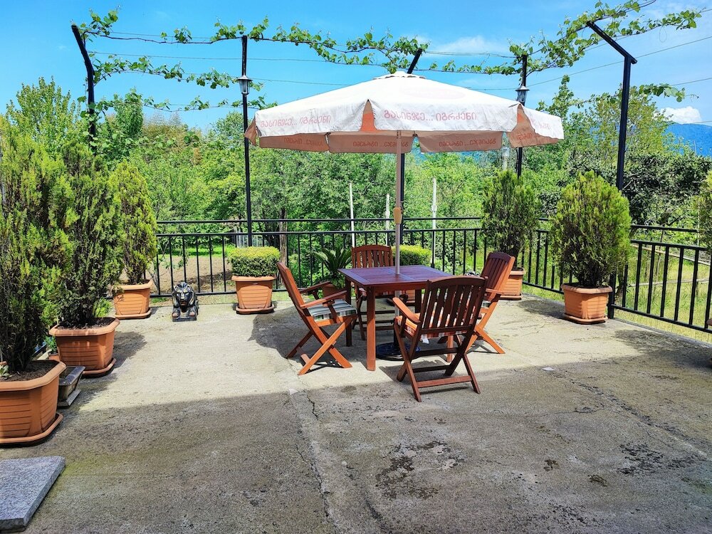 Фото Hotel Botanica