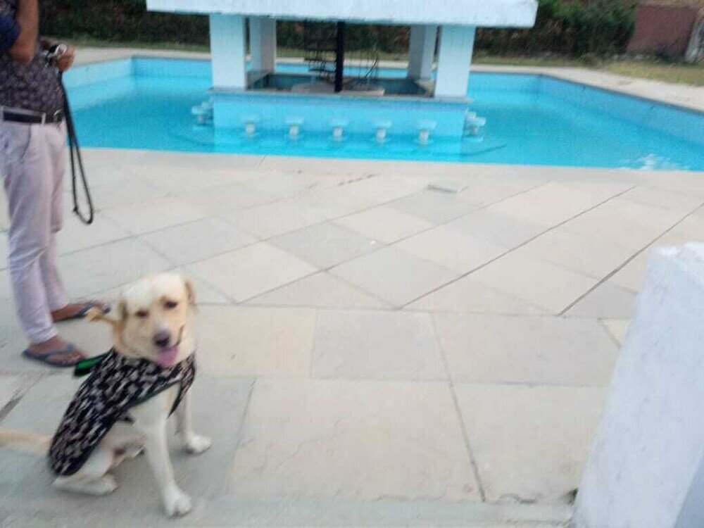 Фото Bassi Fort Palace