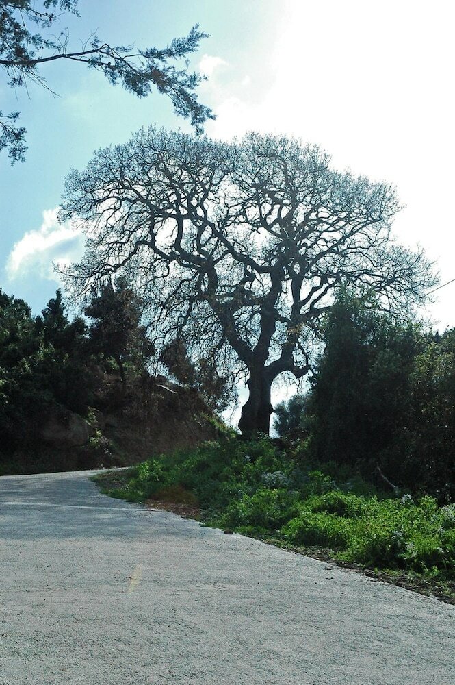 Фото Hotel La Fattoria