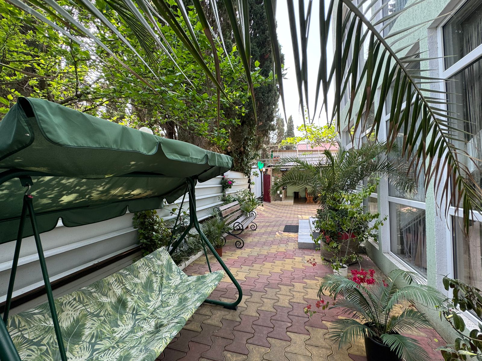 Фото Тростник