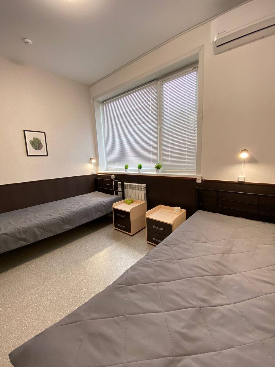 Фото Колибри