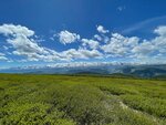 Байгабак (Republic of Altai, Chemalskiy rayon), vivero de animales