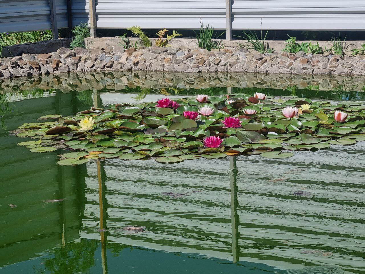 Фото Максим-4 Дон