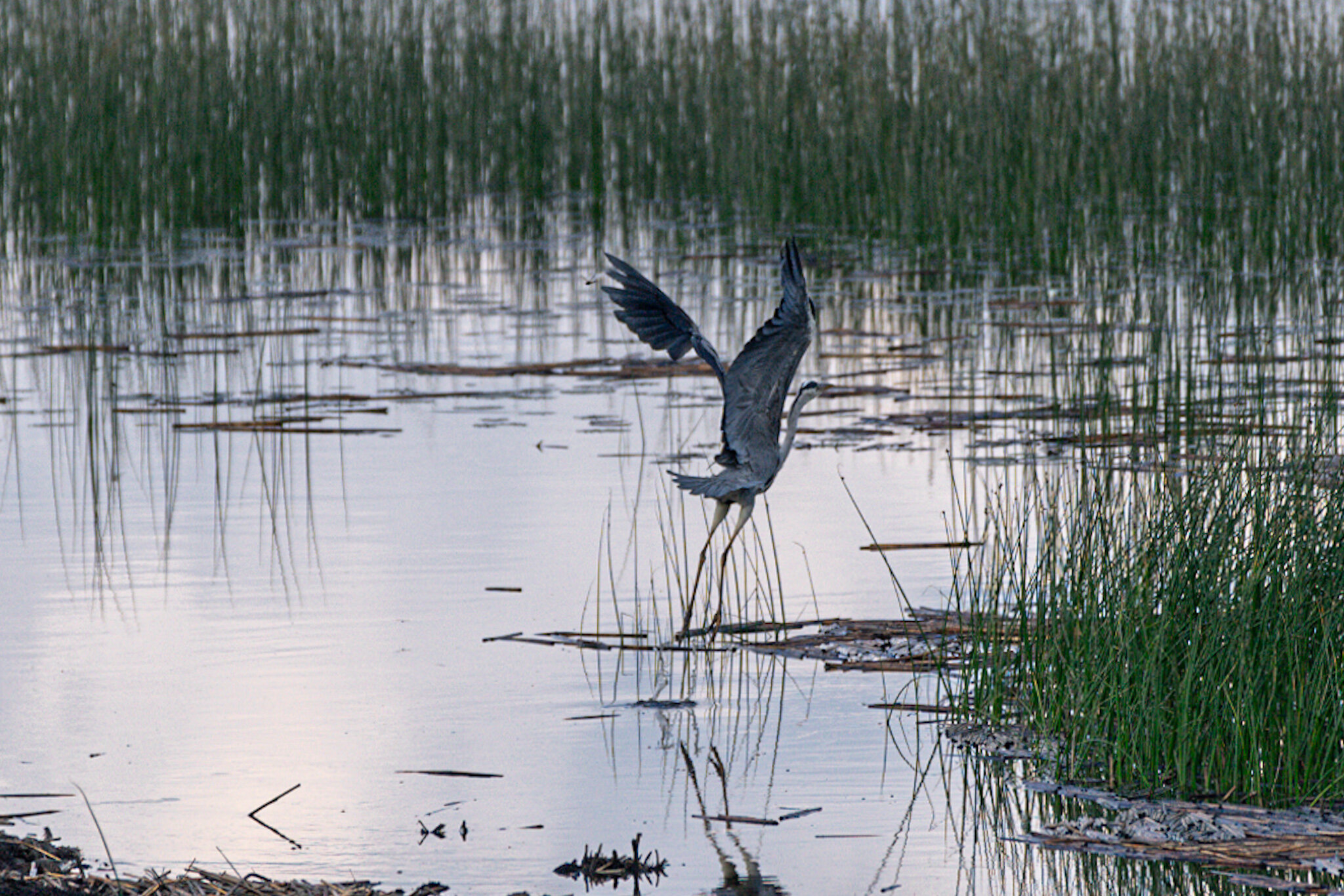 Фото Поместье Лесная бухта