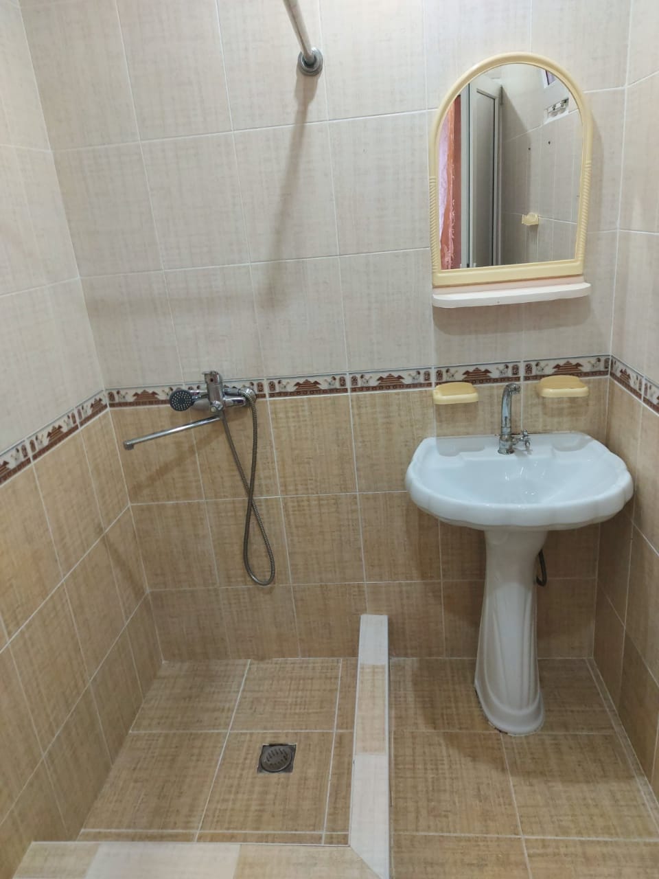 Фото Азалия