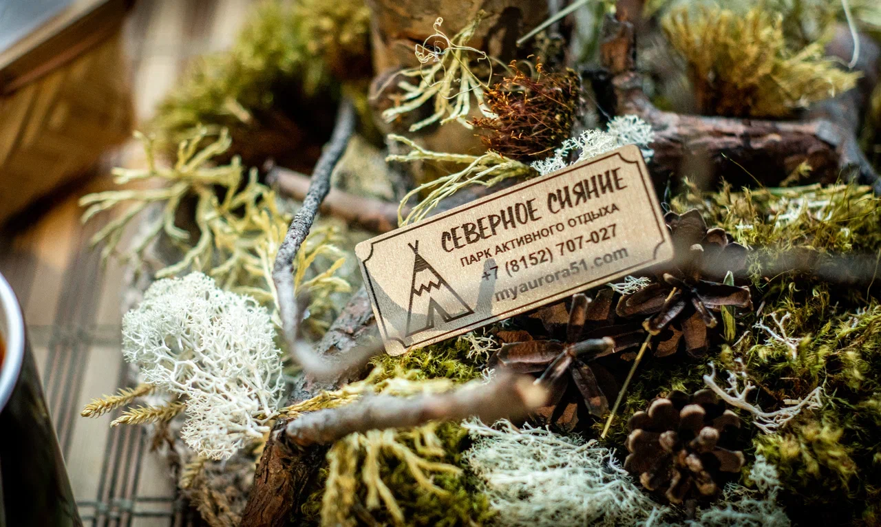 Фото Северное сияние