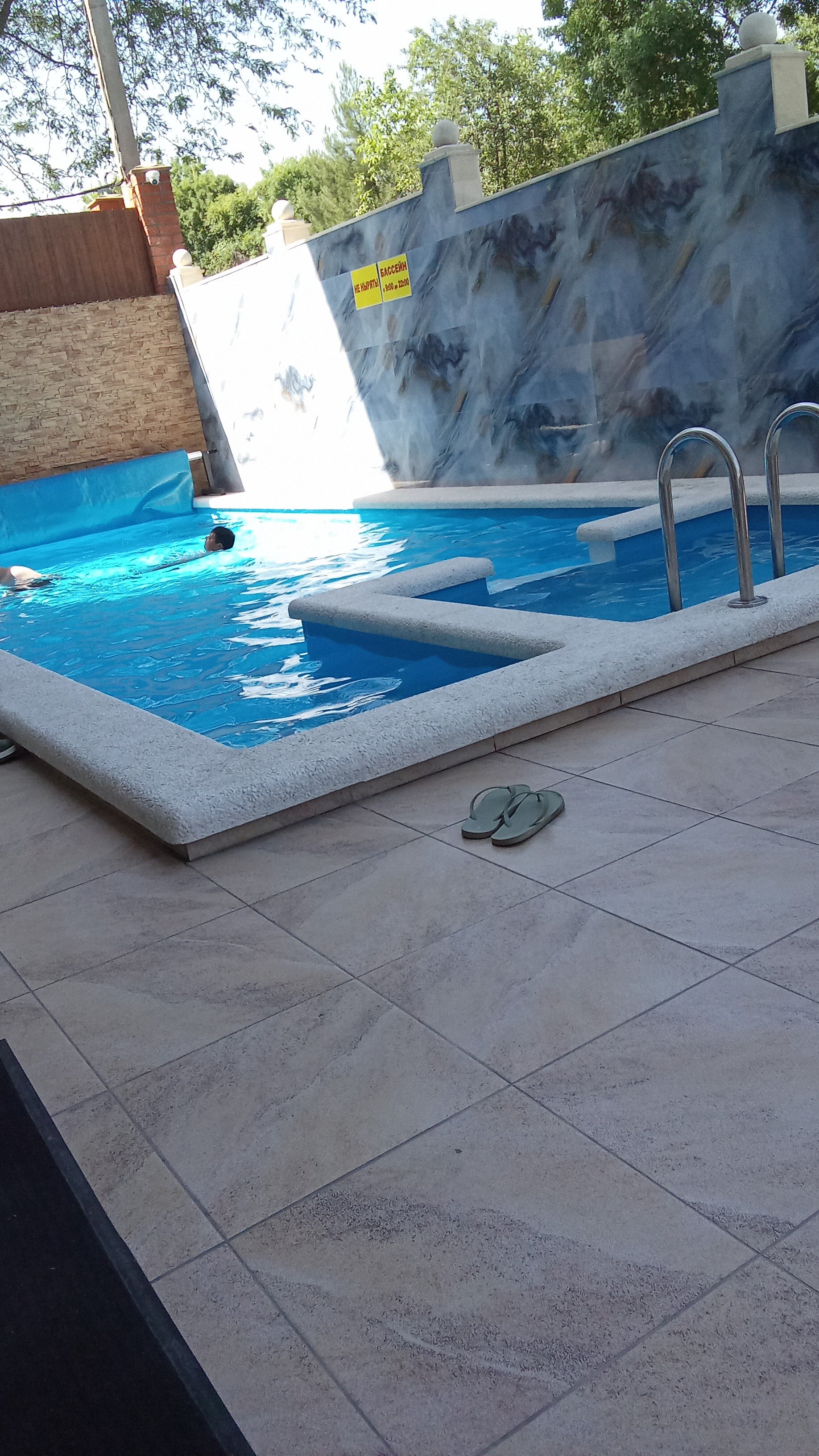 Фото Адонис