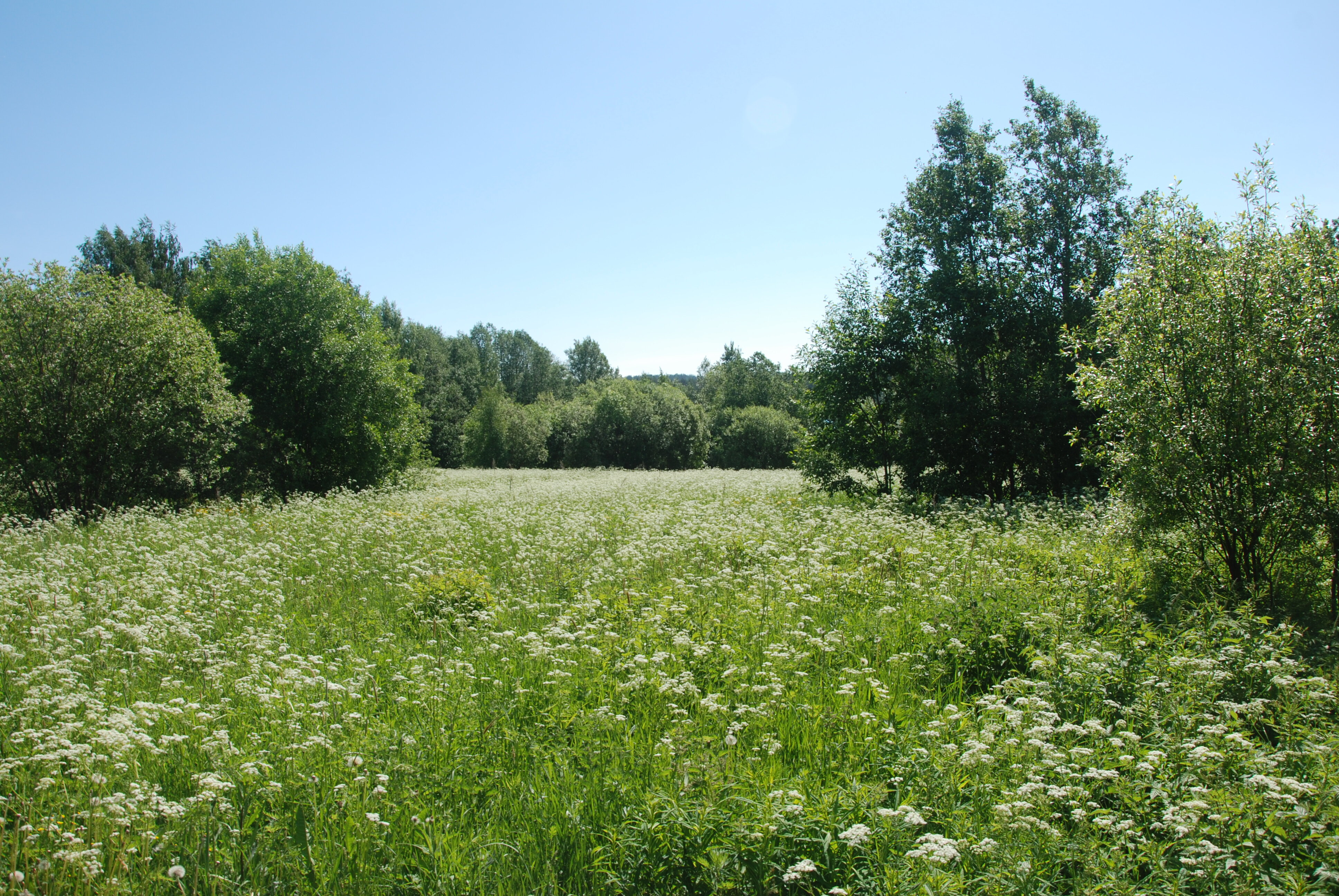 Фото Турбаза Вятиккя