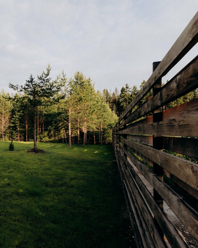 Infinity Forest — фото 3