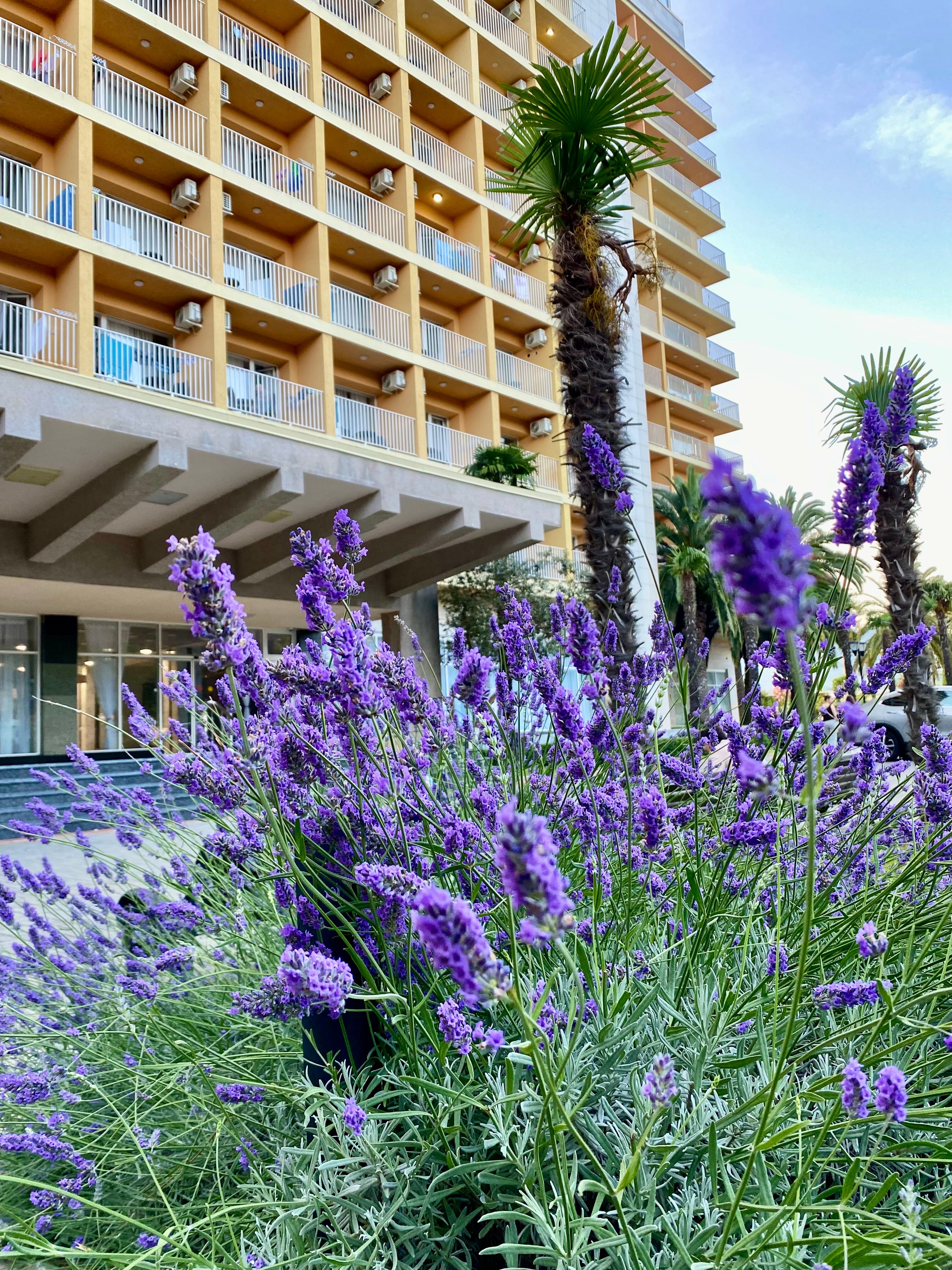 Фото Литфонд