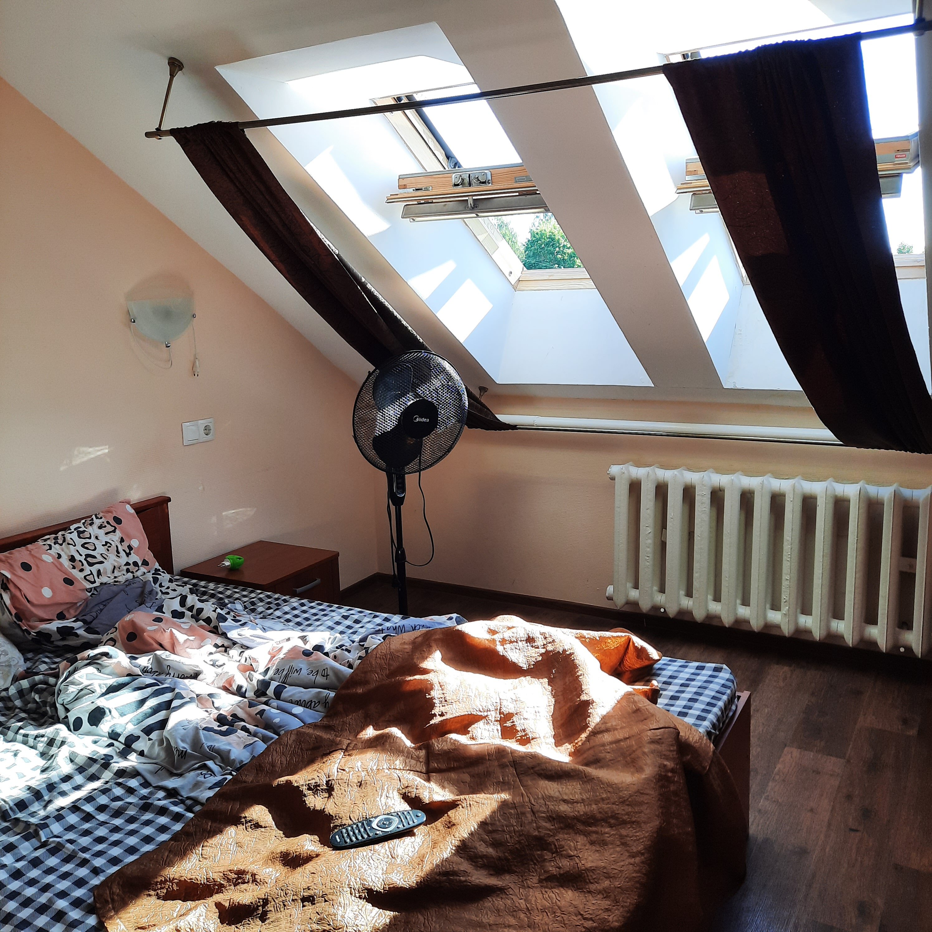 Фото Вестник