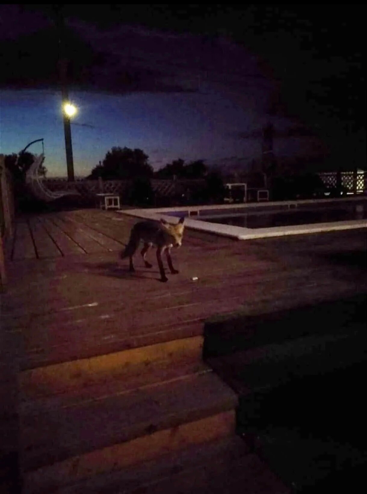 Фото Верона