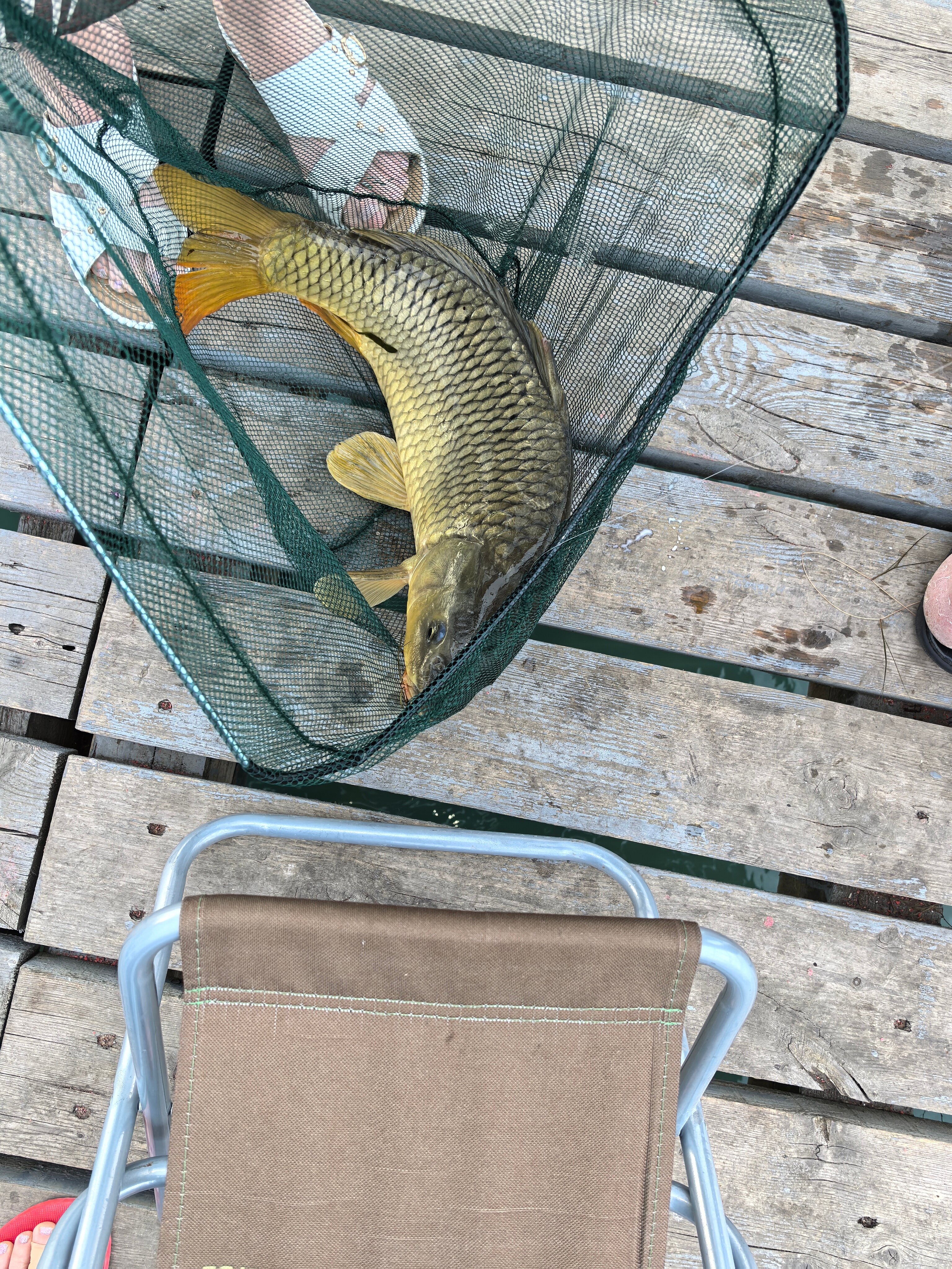 Фото Валенсия