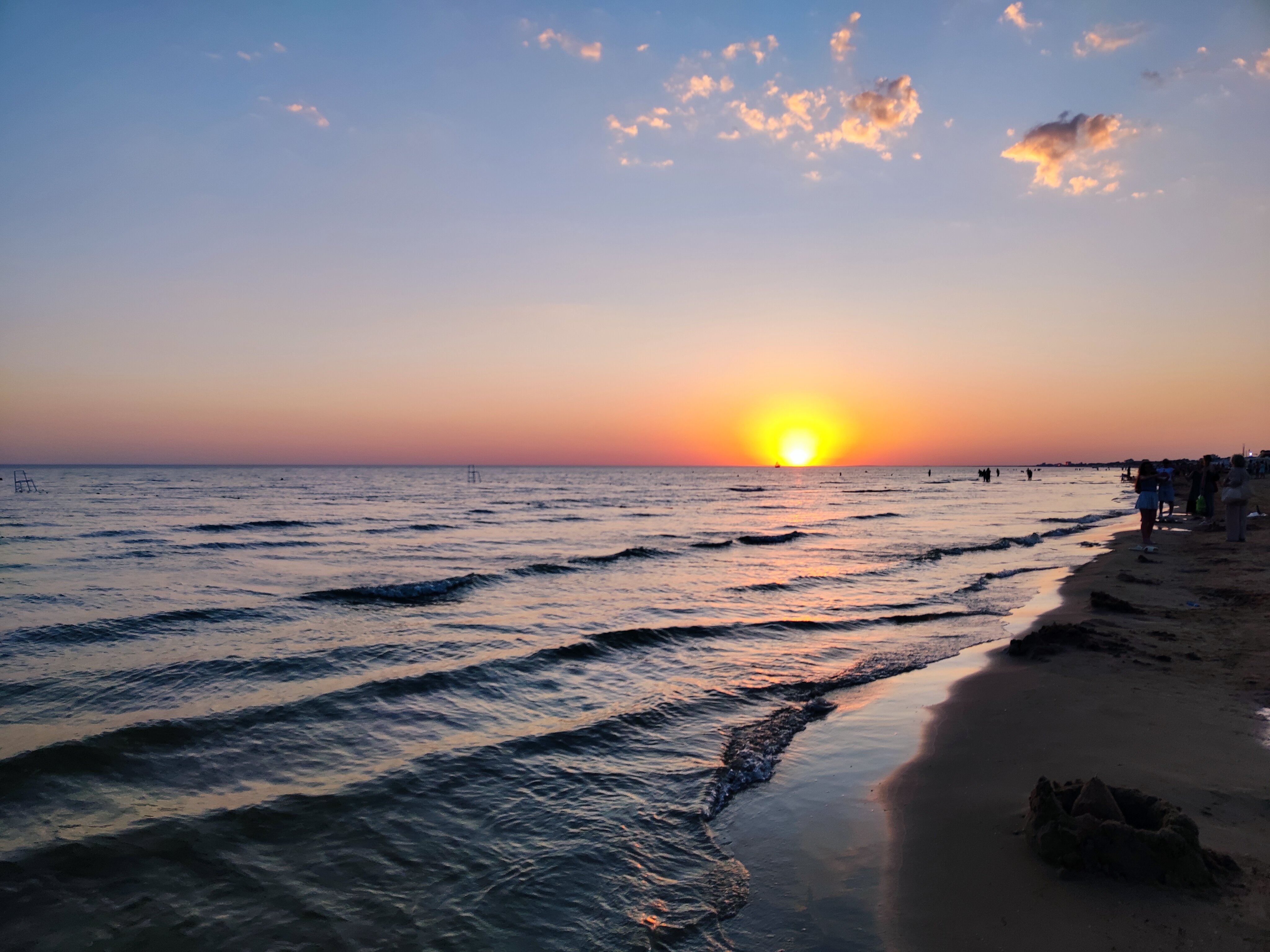 Фото Дублин Дельфин