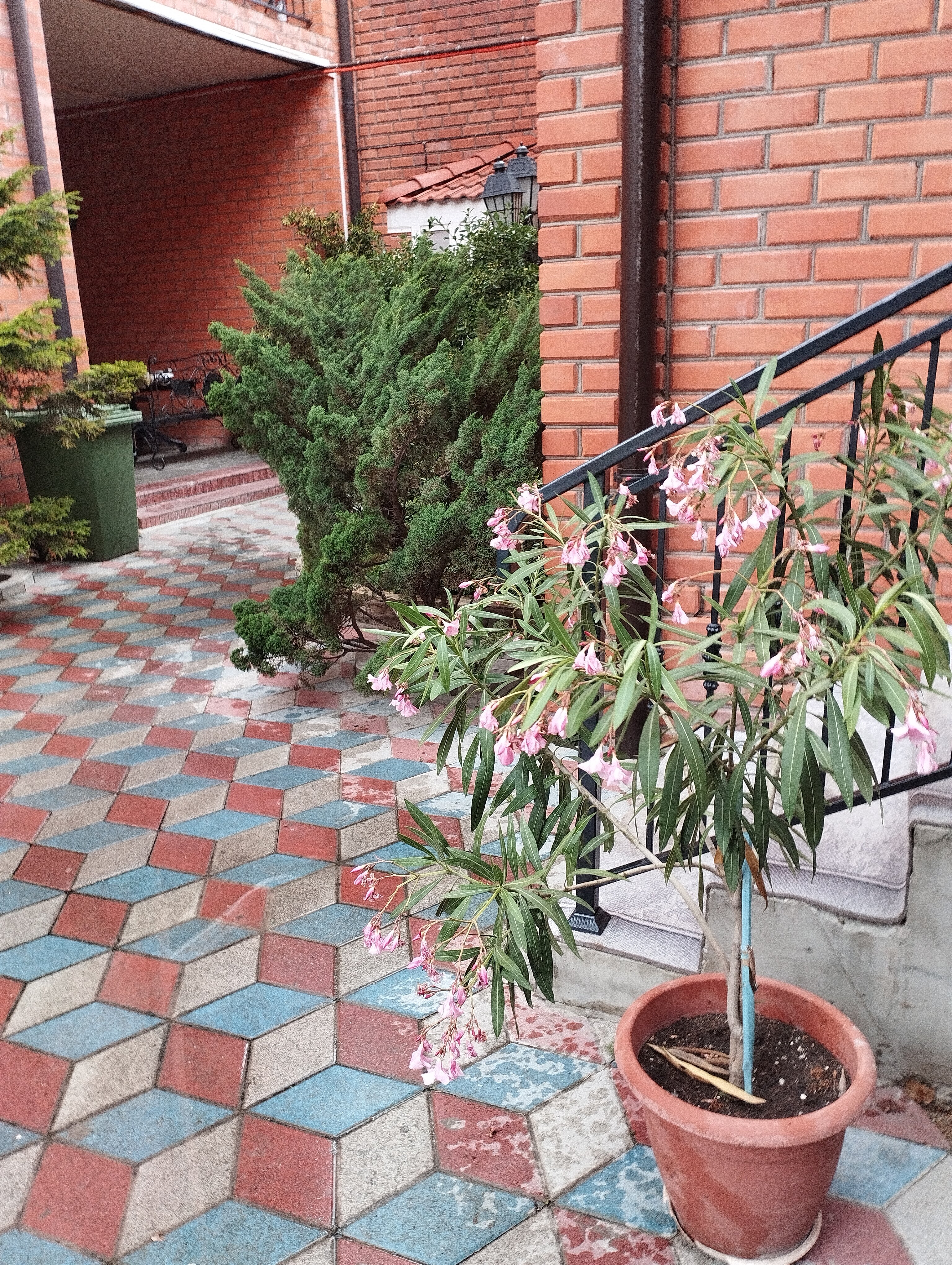 Фото Ливадия