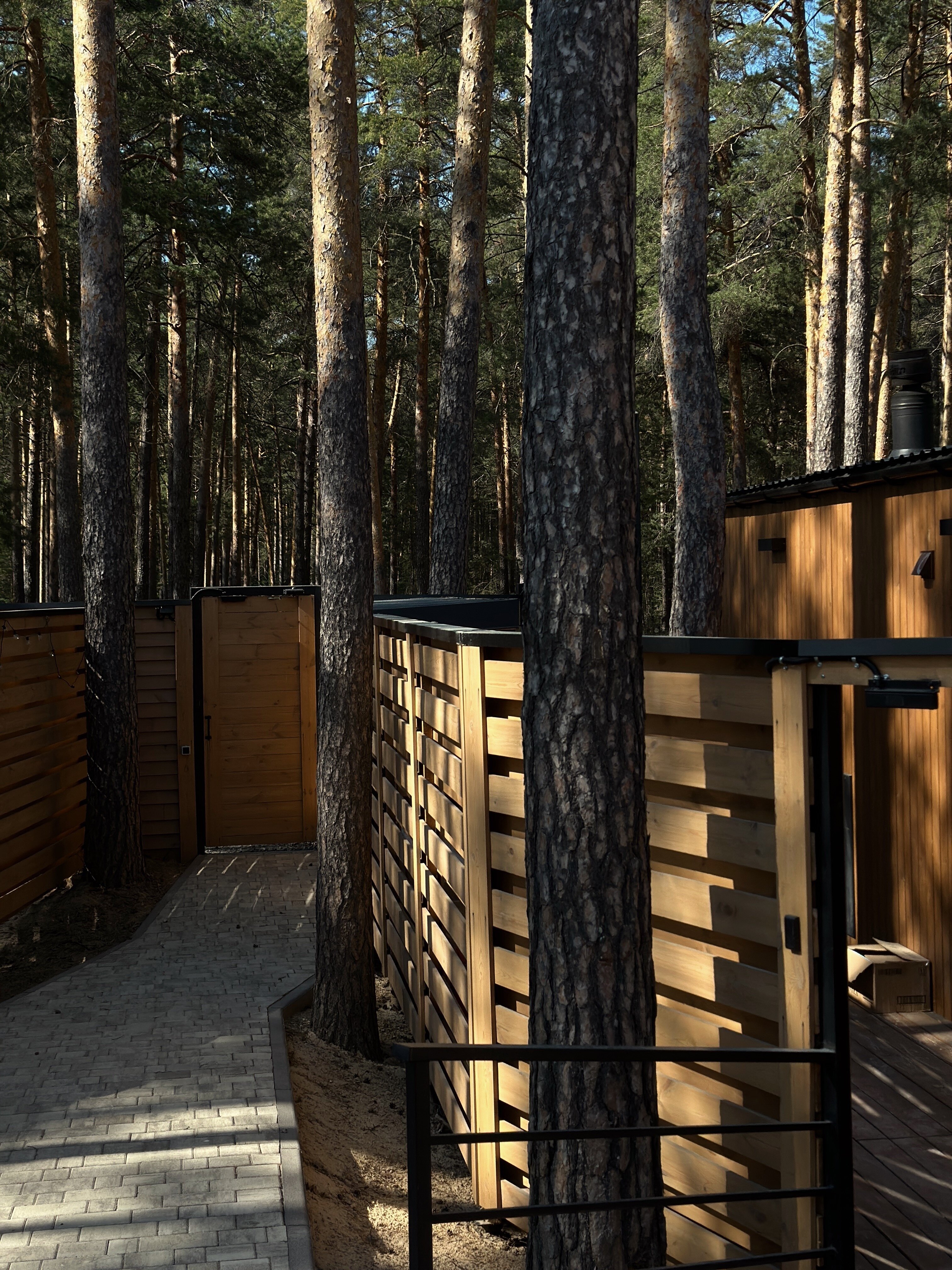 Фото Янтарь