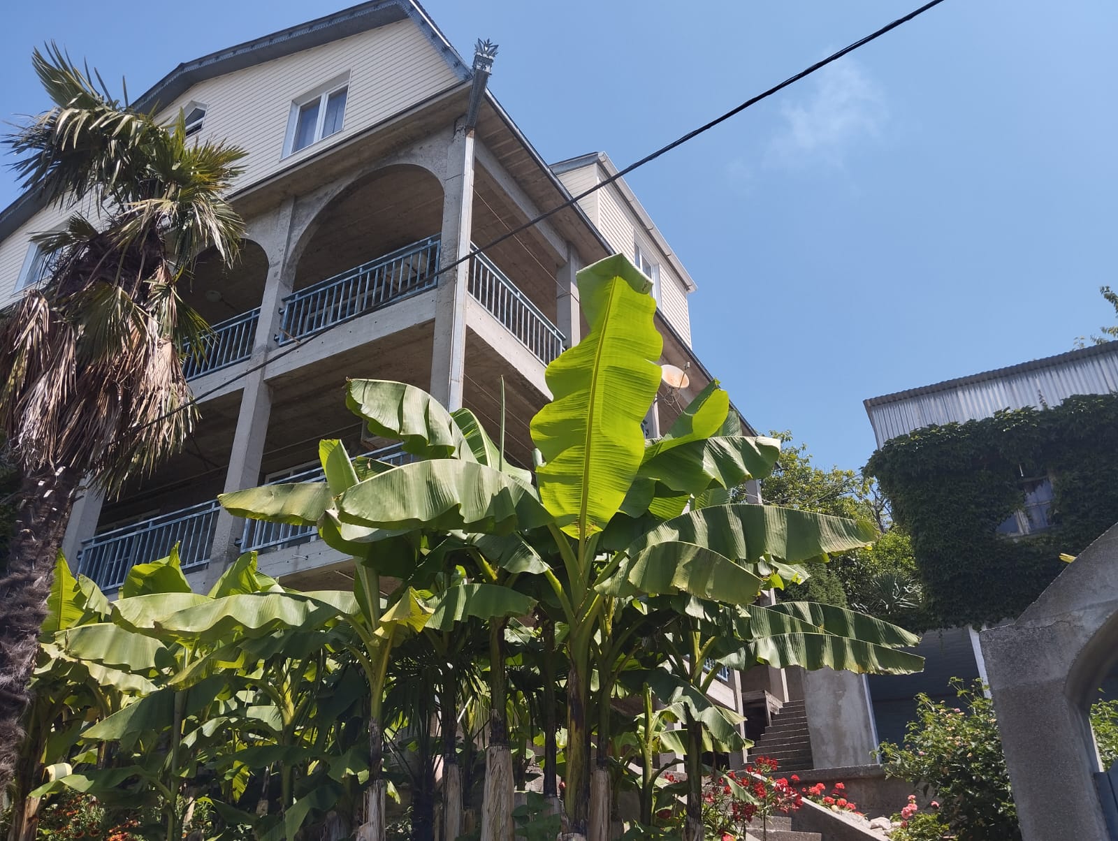 Фото У Артема и Сусанны