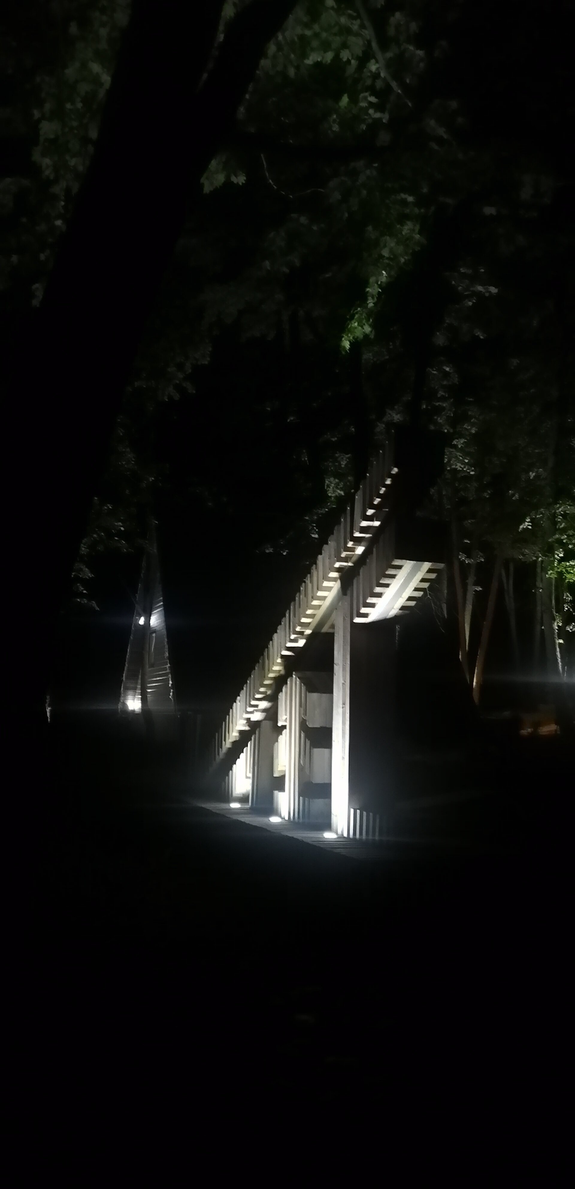 Фото В Лес Афрейм