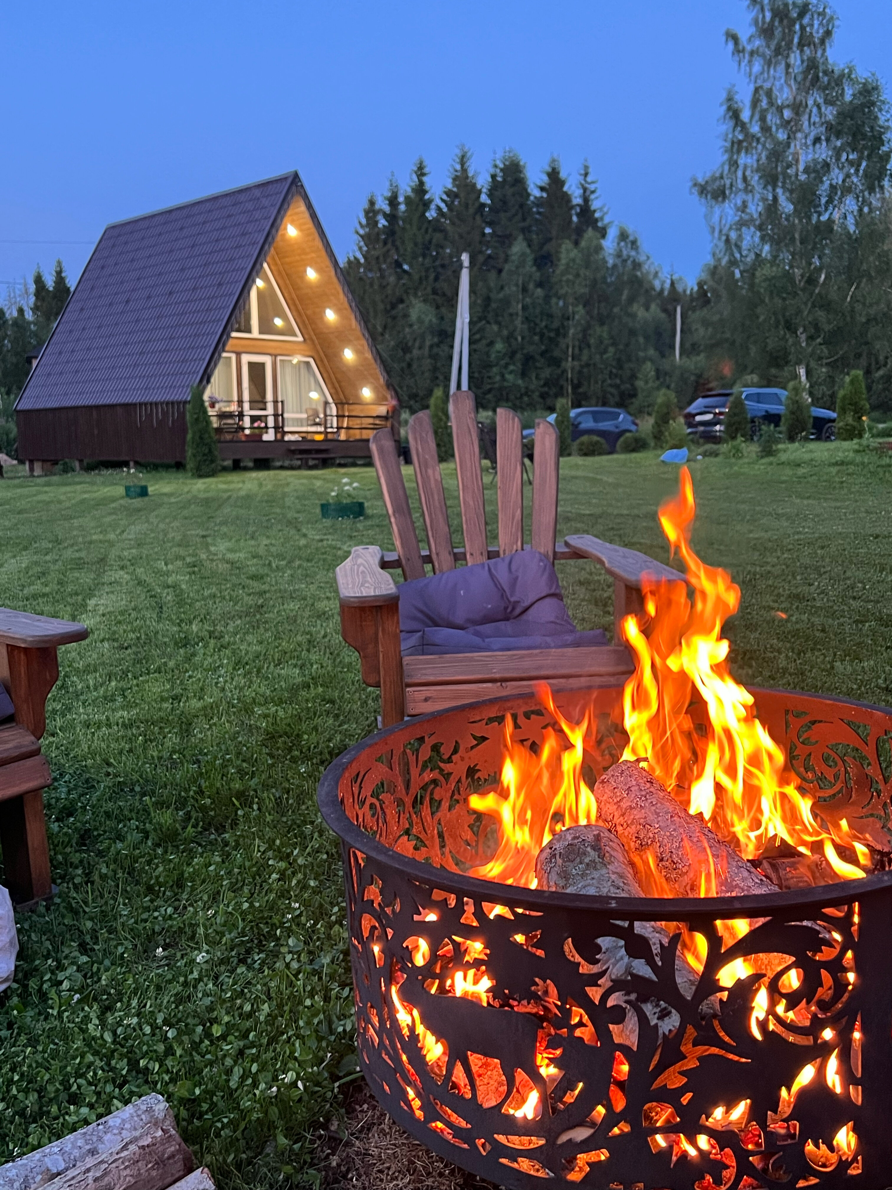 Фото Волшебный лес