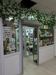 Цветочный город (Tereshkovoy Street, 247), flower shop