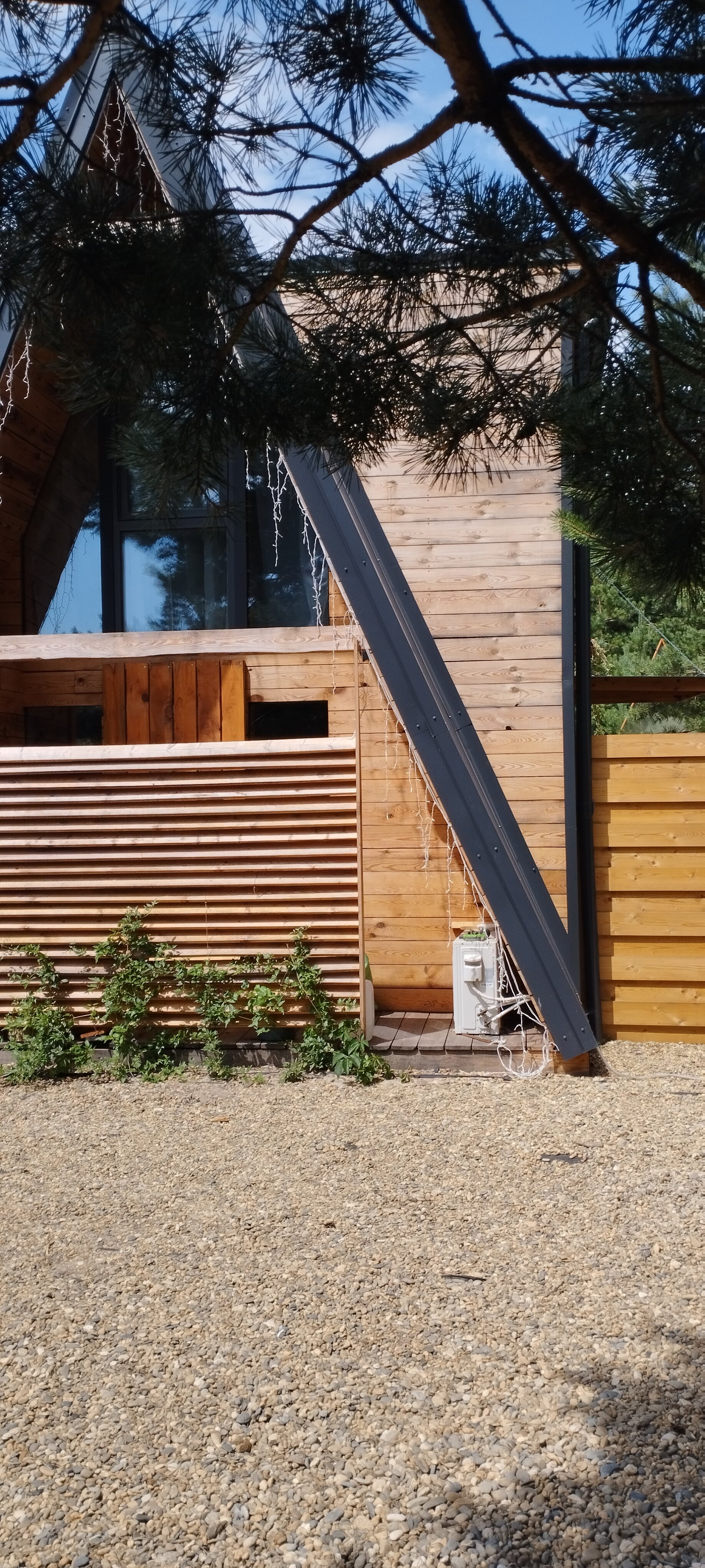 Фото Благодать