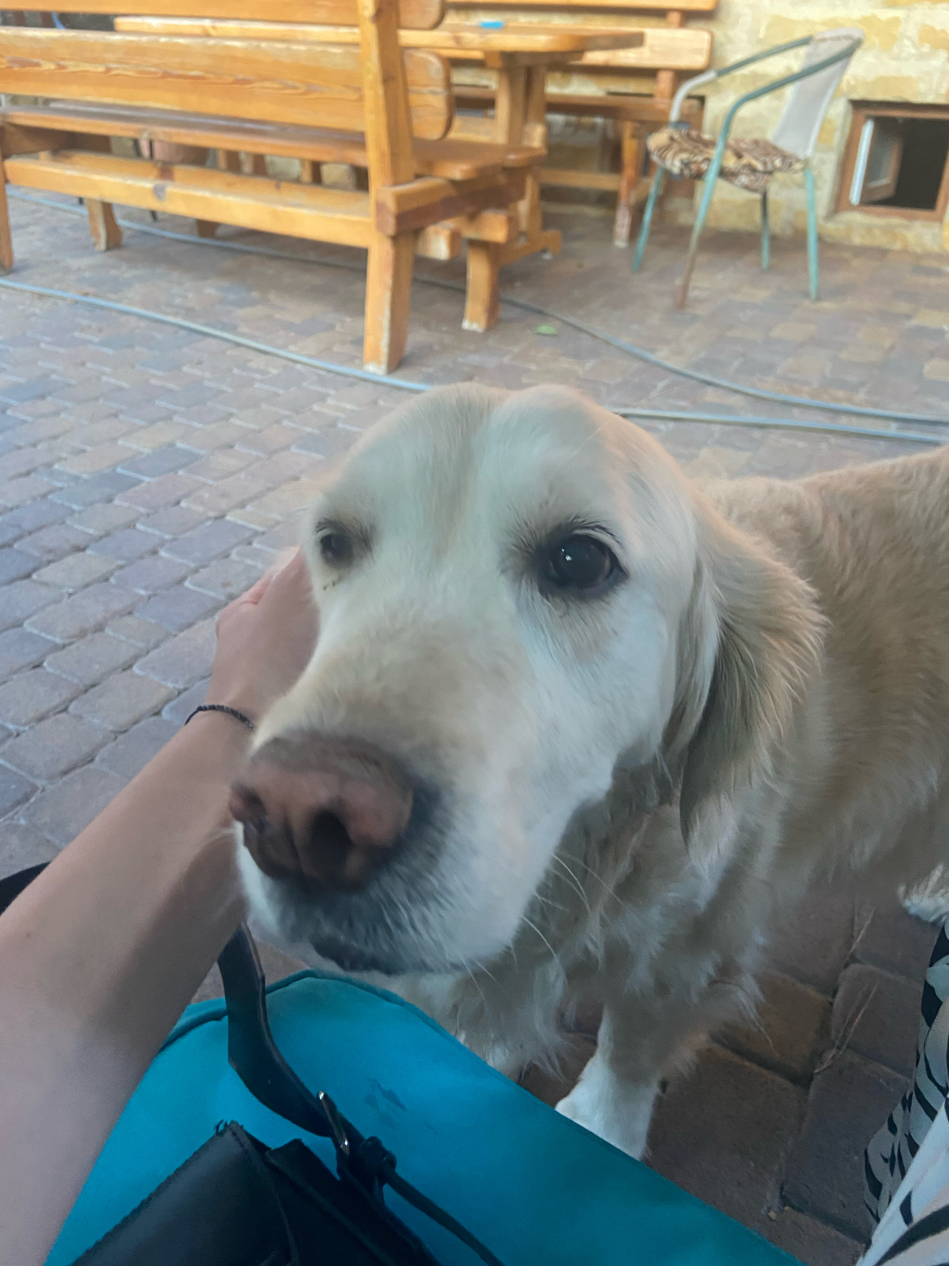 Фото Morskoy priboy