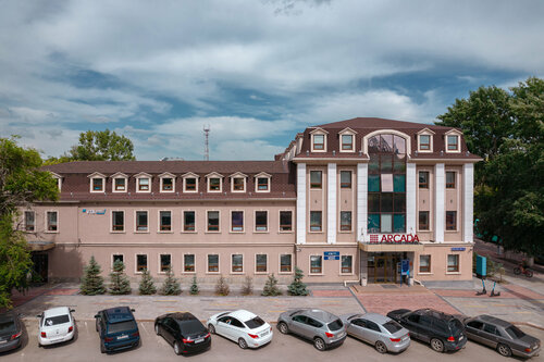 Негізгі жыныстық позиция