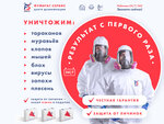 Fumigatservice (Universitetskaya Street, 61), disinfection, disinsection, deratization