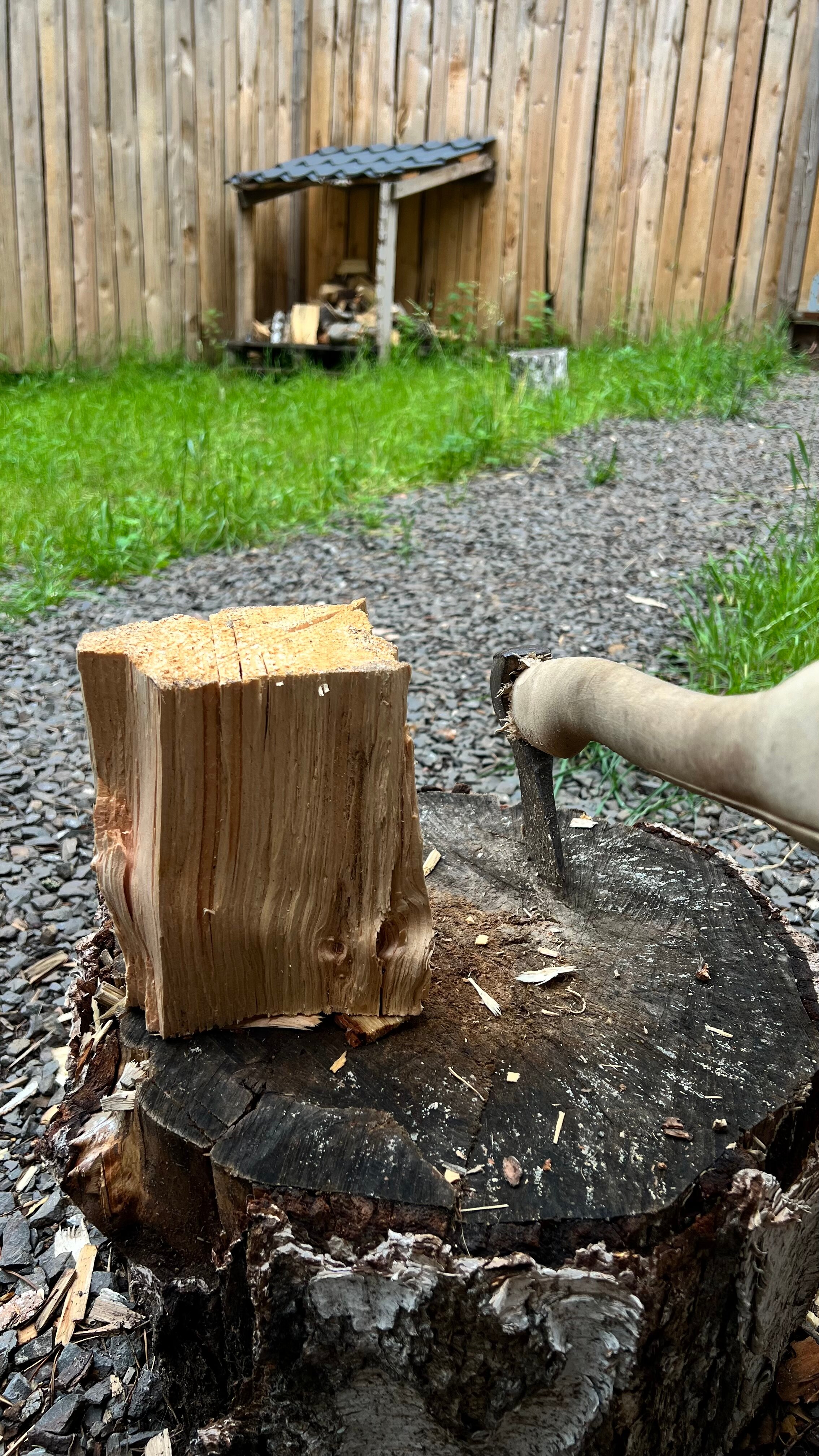 Фото Домики в лесу