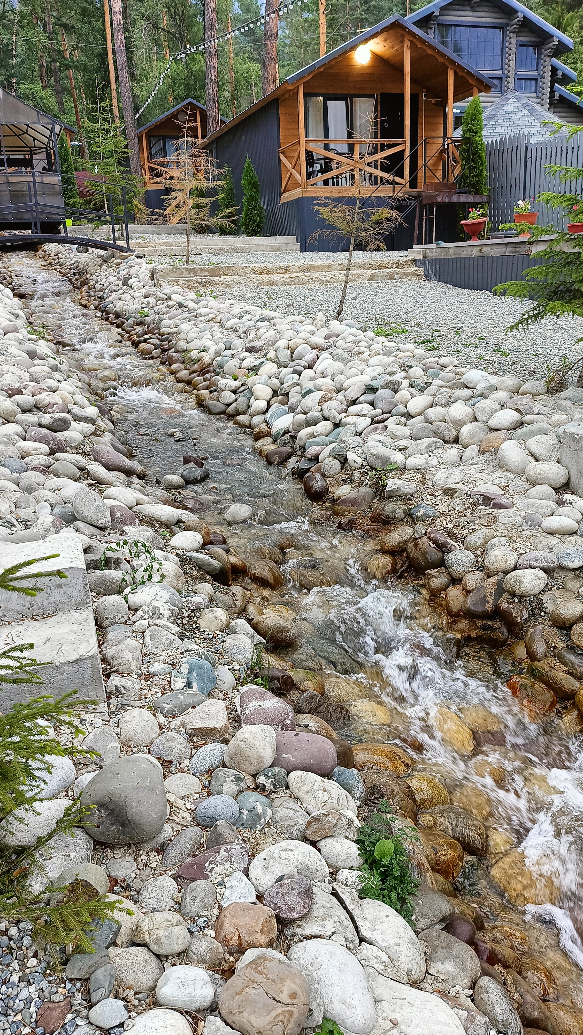 Фото Сосновка