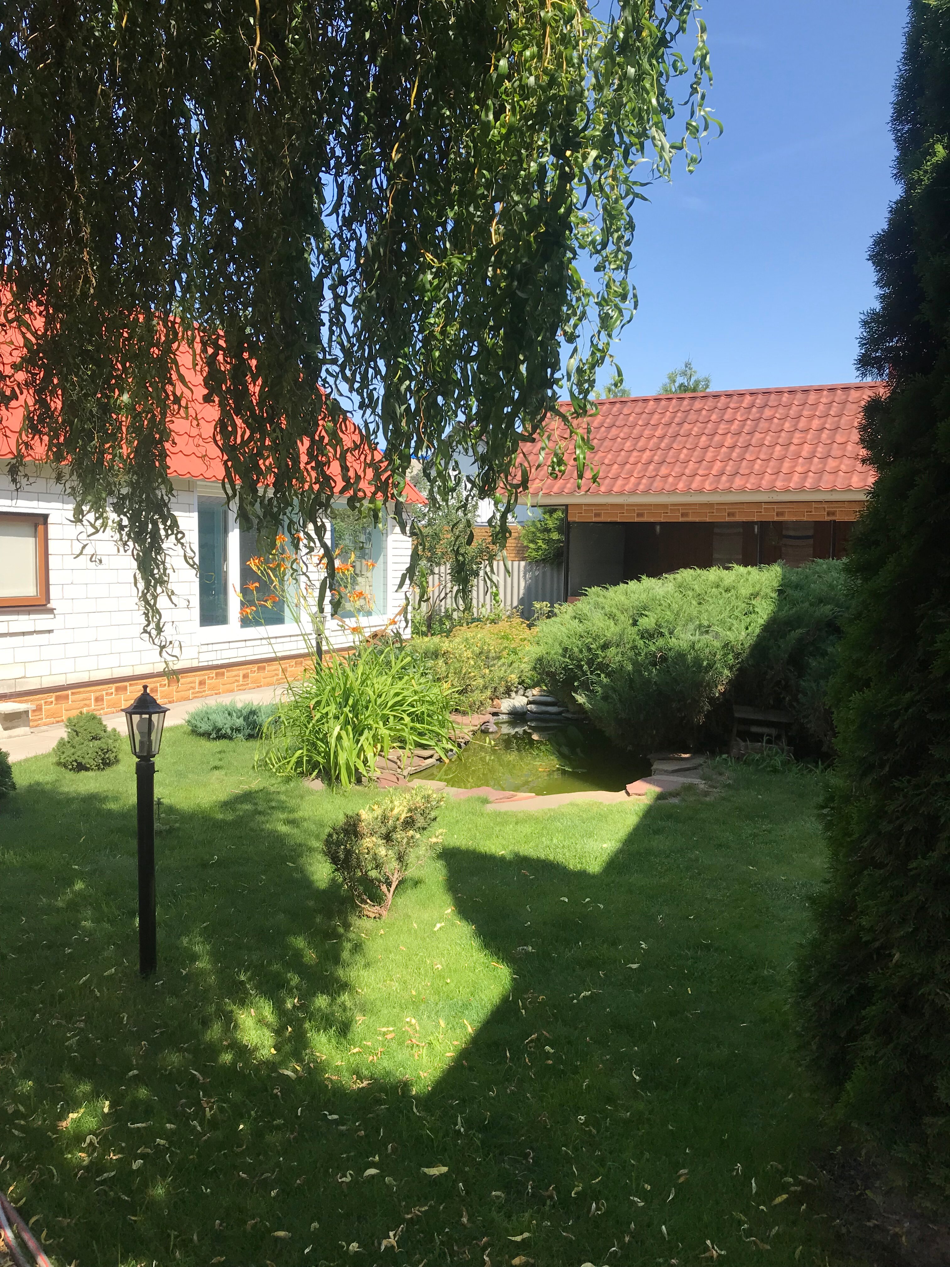 Фото Дворик