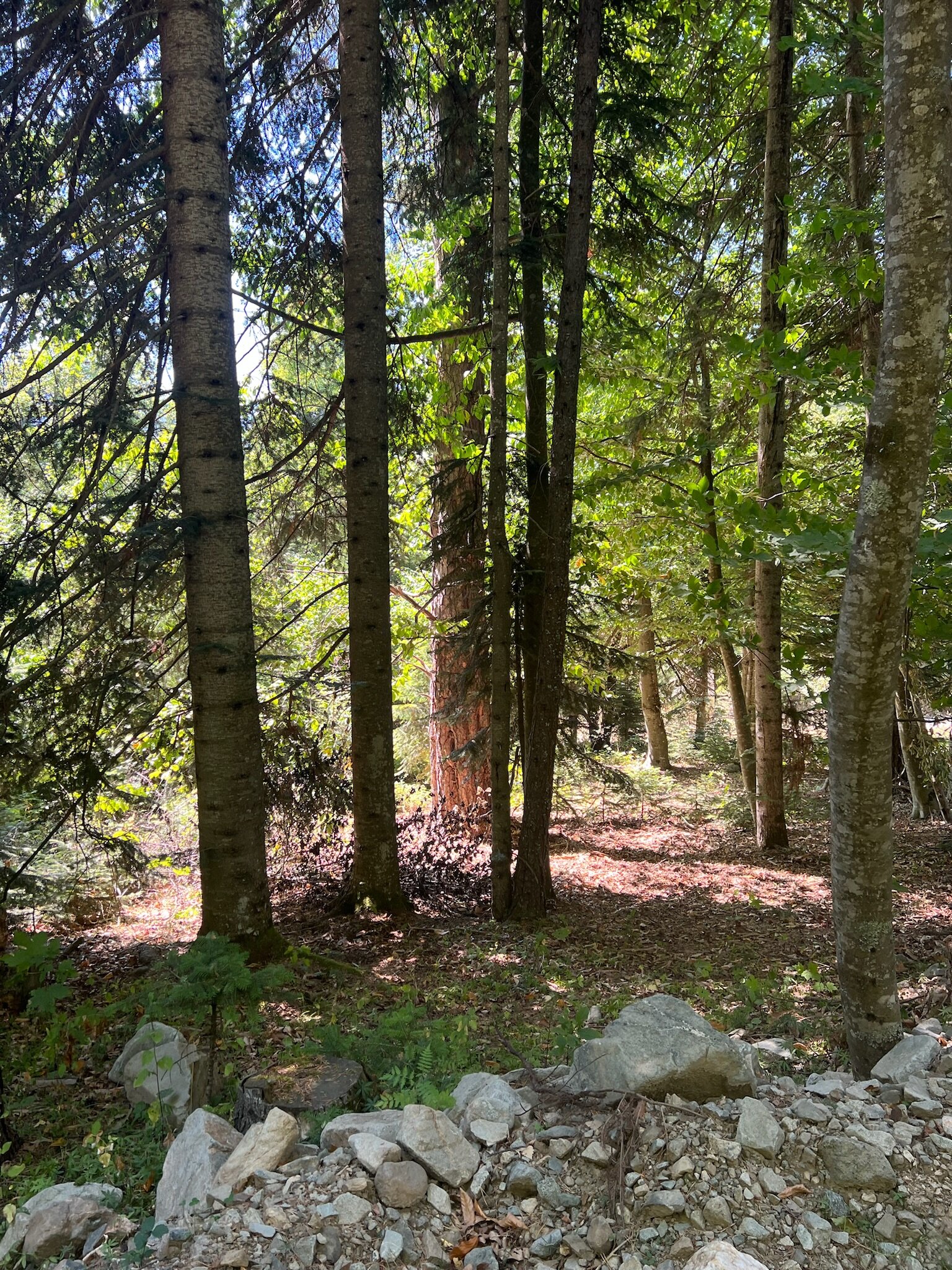 Фото Горизонталь