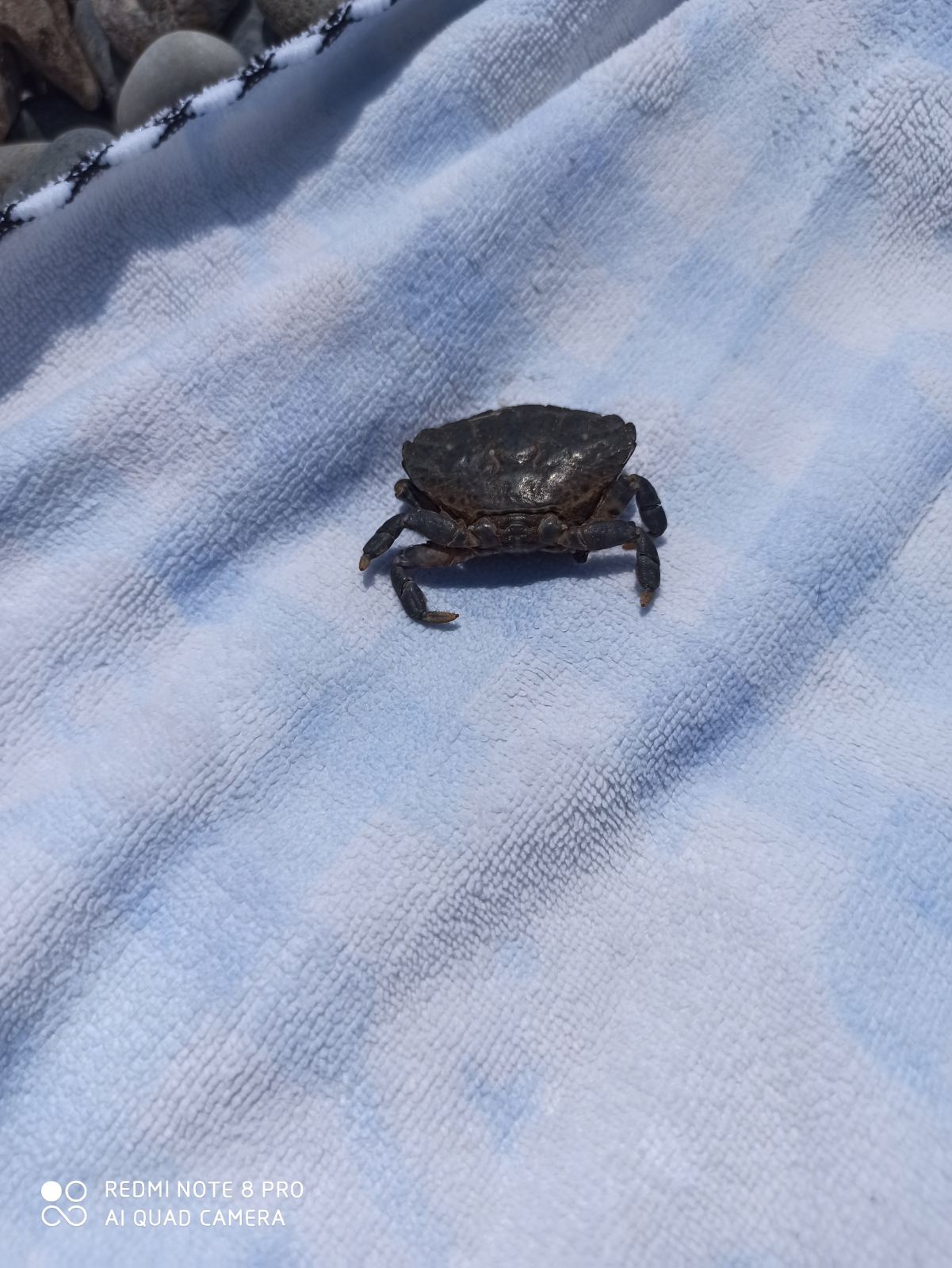 Фото Cherry House