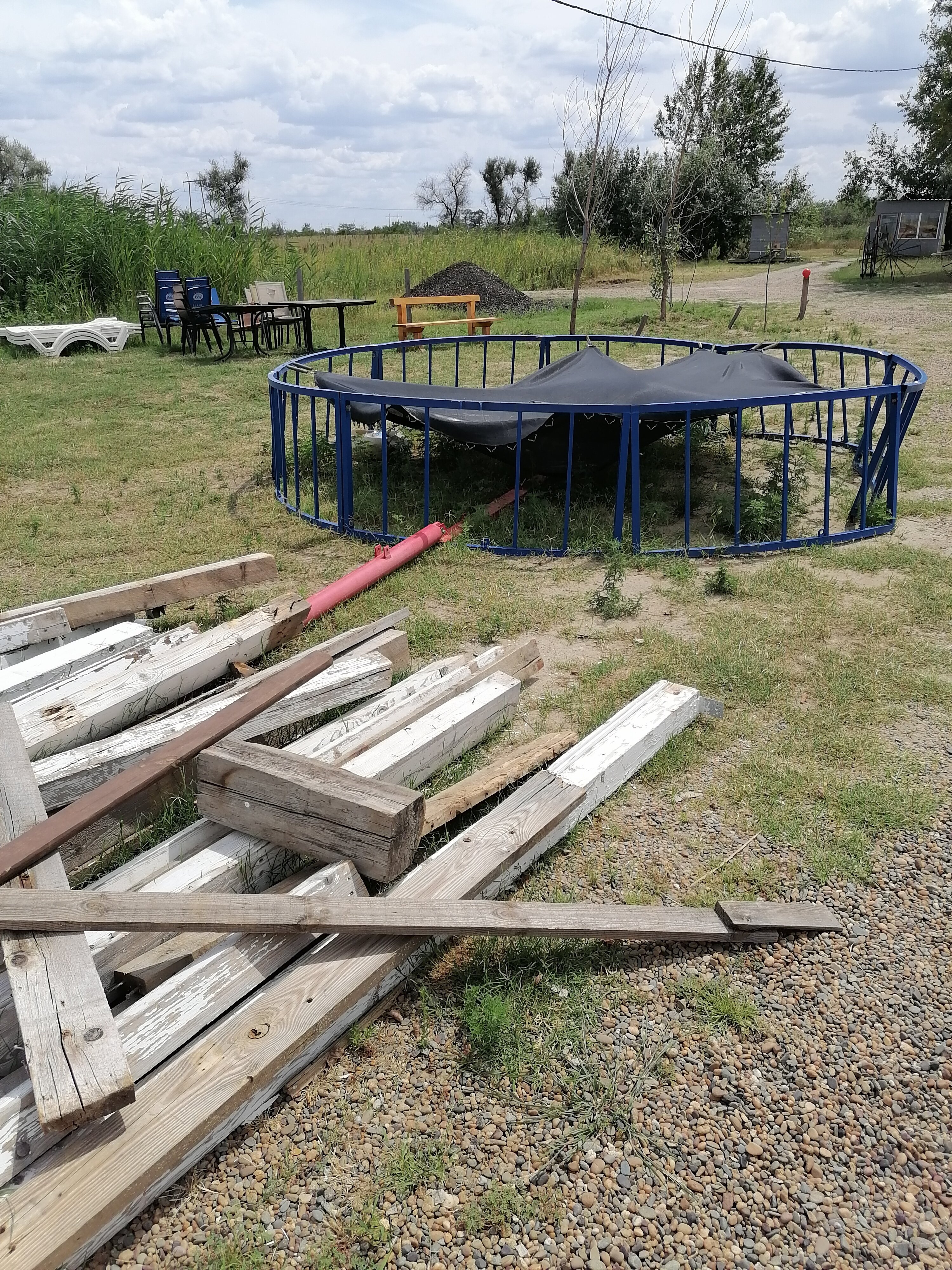 Фото Ягода-Малина