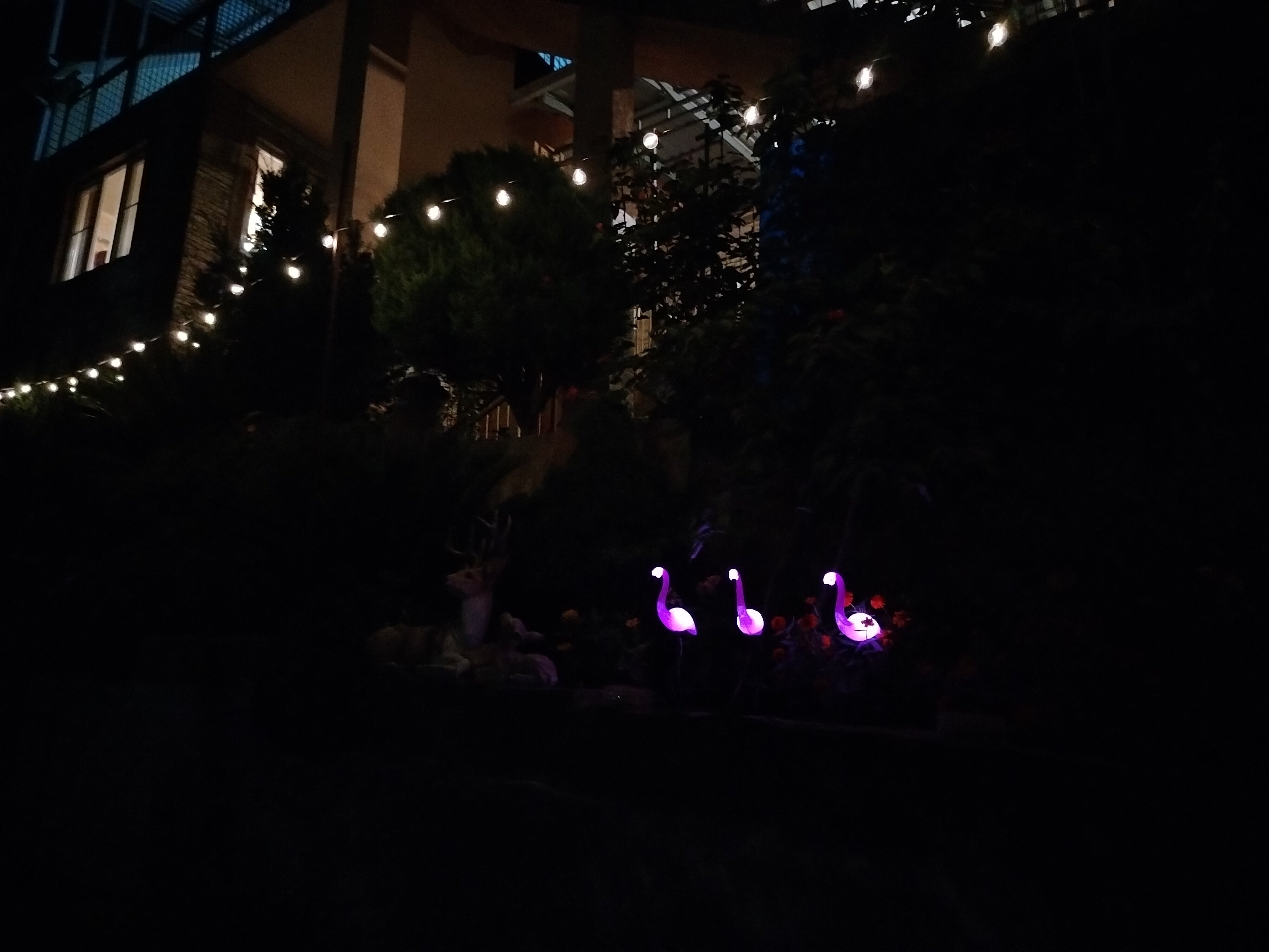 Фото Аэлита