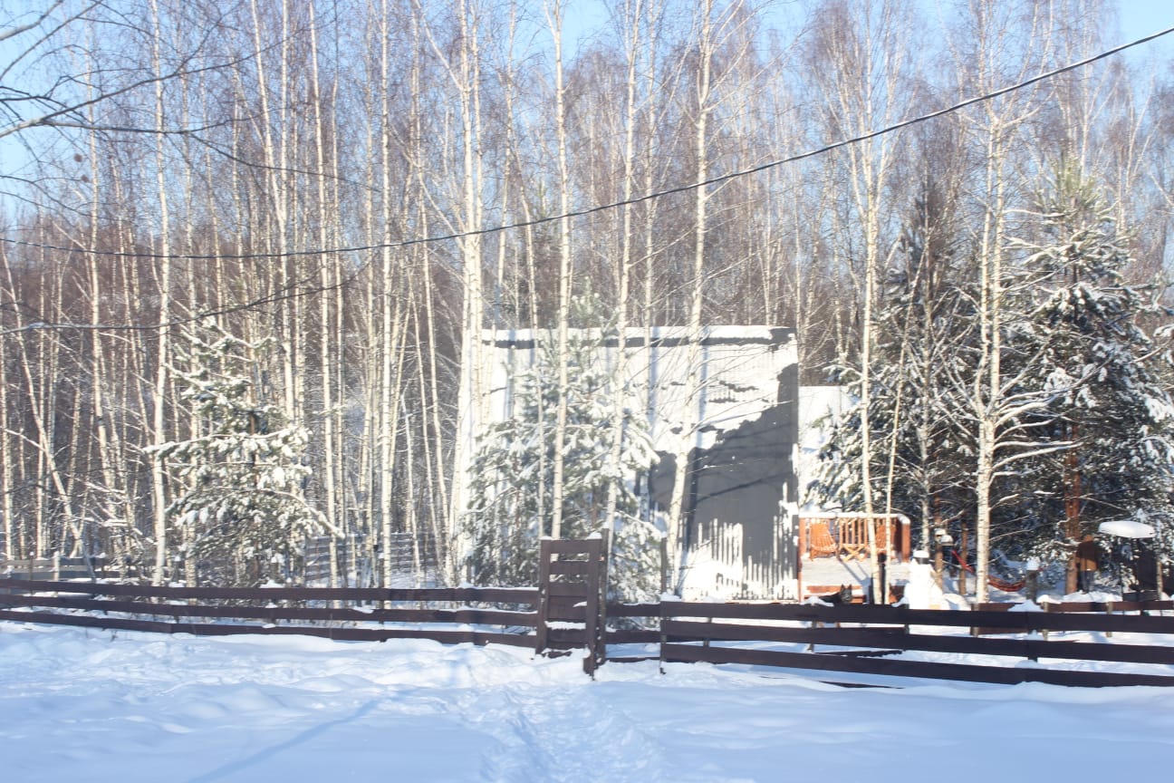 Фото Хвойный парк