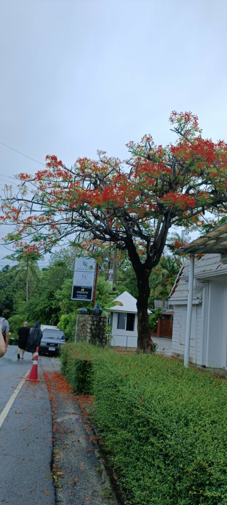Currency exchange Currency exchange, Phuket Province, photo
