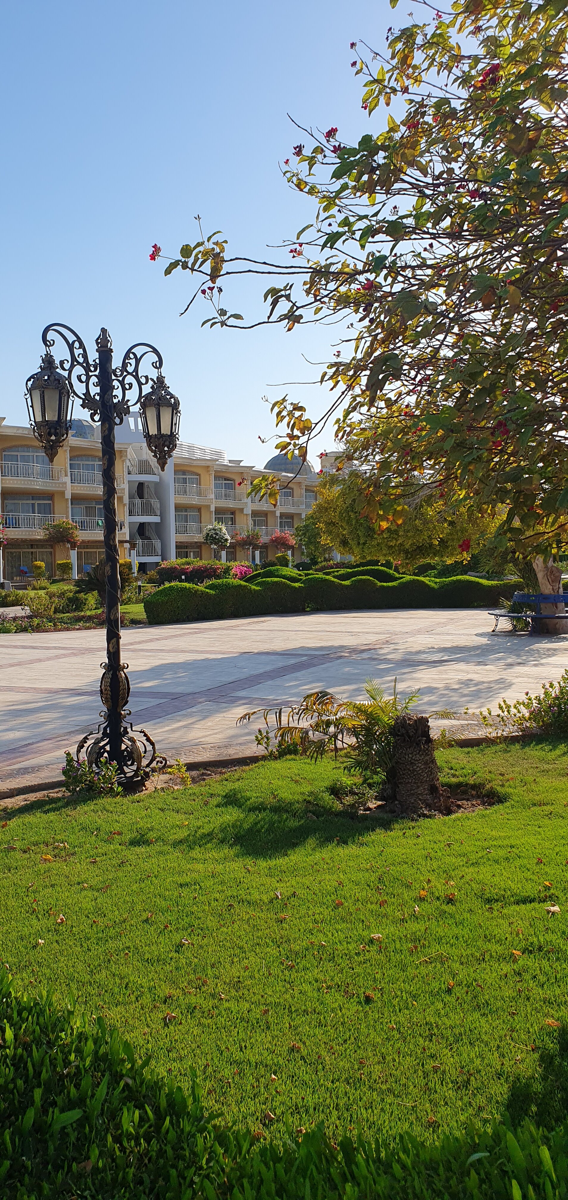 Фото Palm Royale Resort Soma Bay