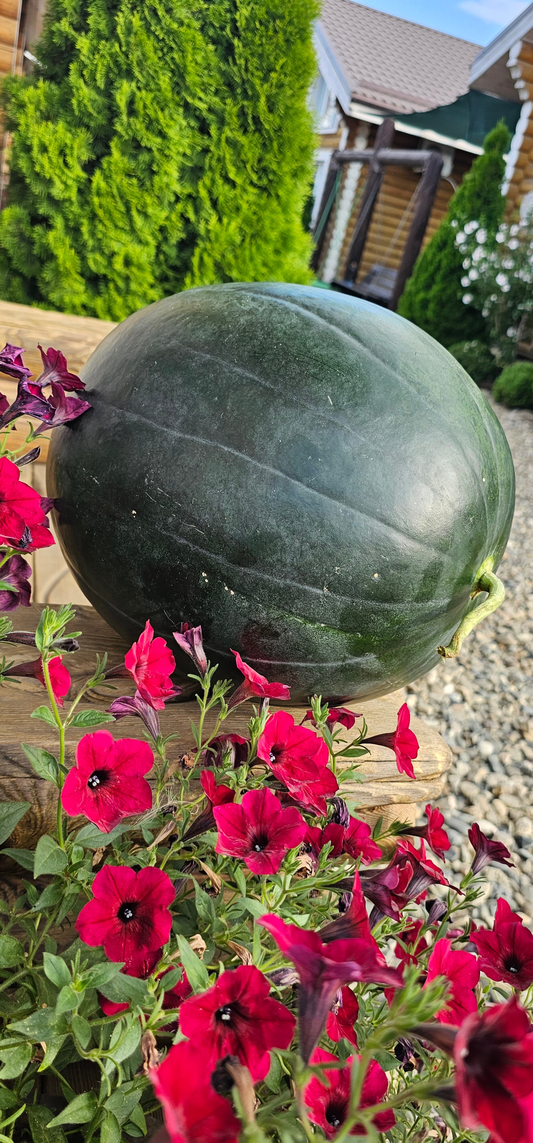 Фото Kuchugury_village