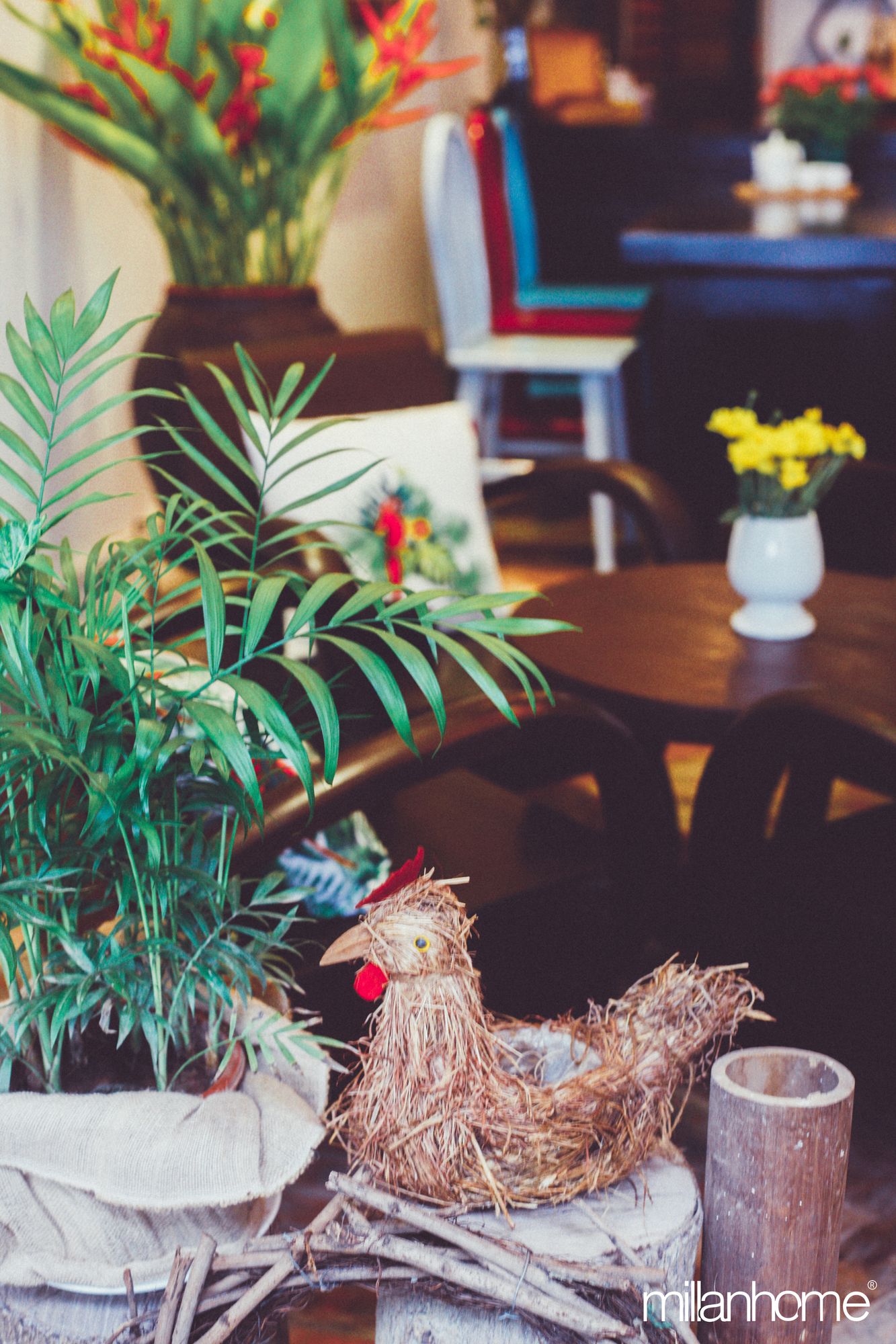 Фото Millan Home