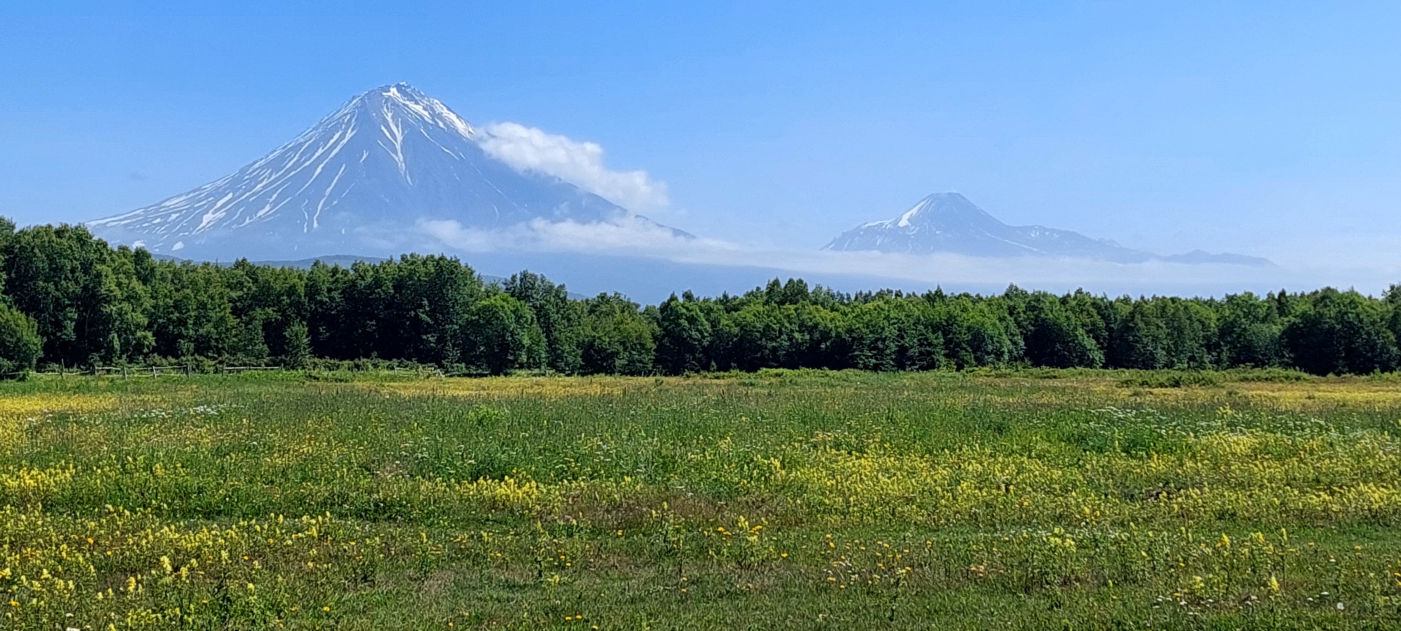 Фото Антариус