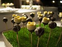 Фото Villa D'Andrea