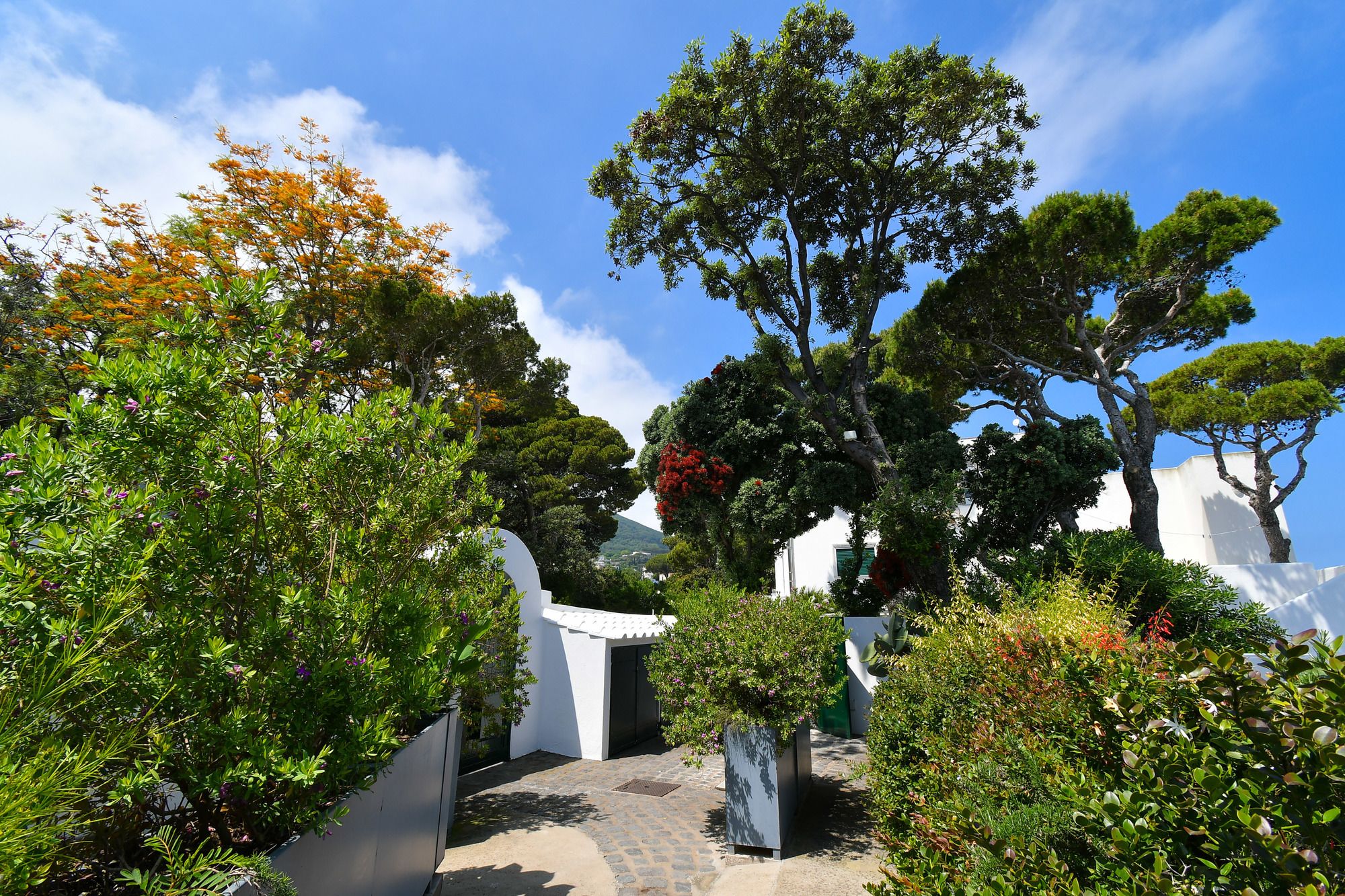 Фото Villa Lentisco