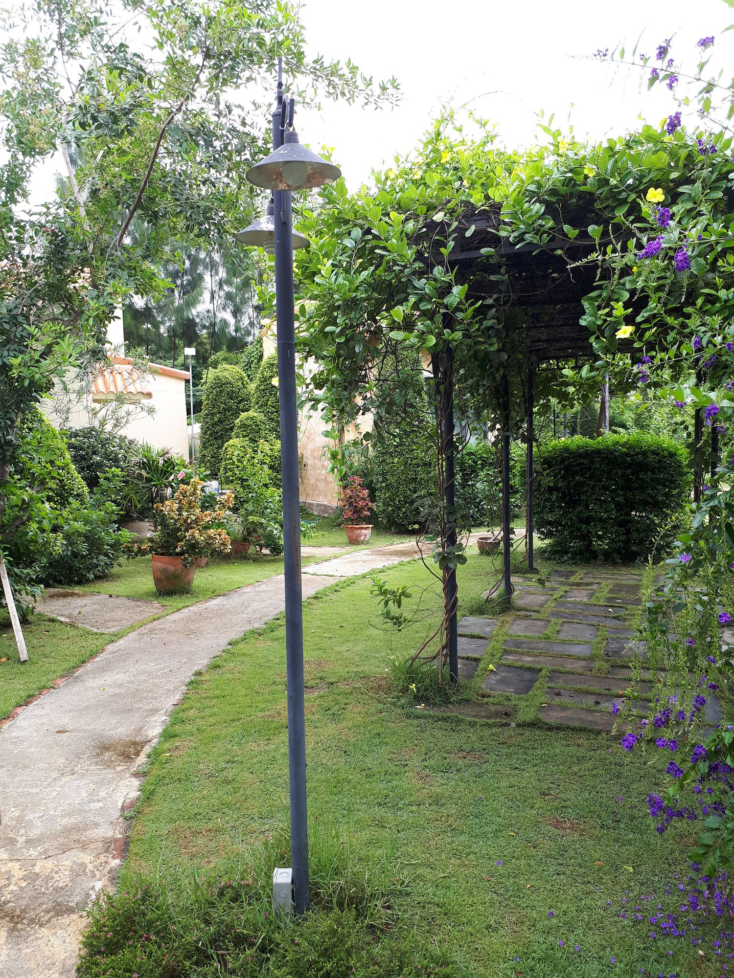 Фото Villa Tuscany Country Resort